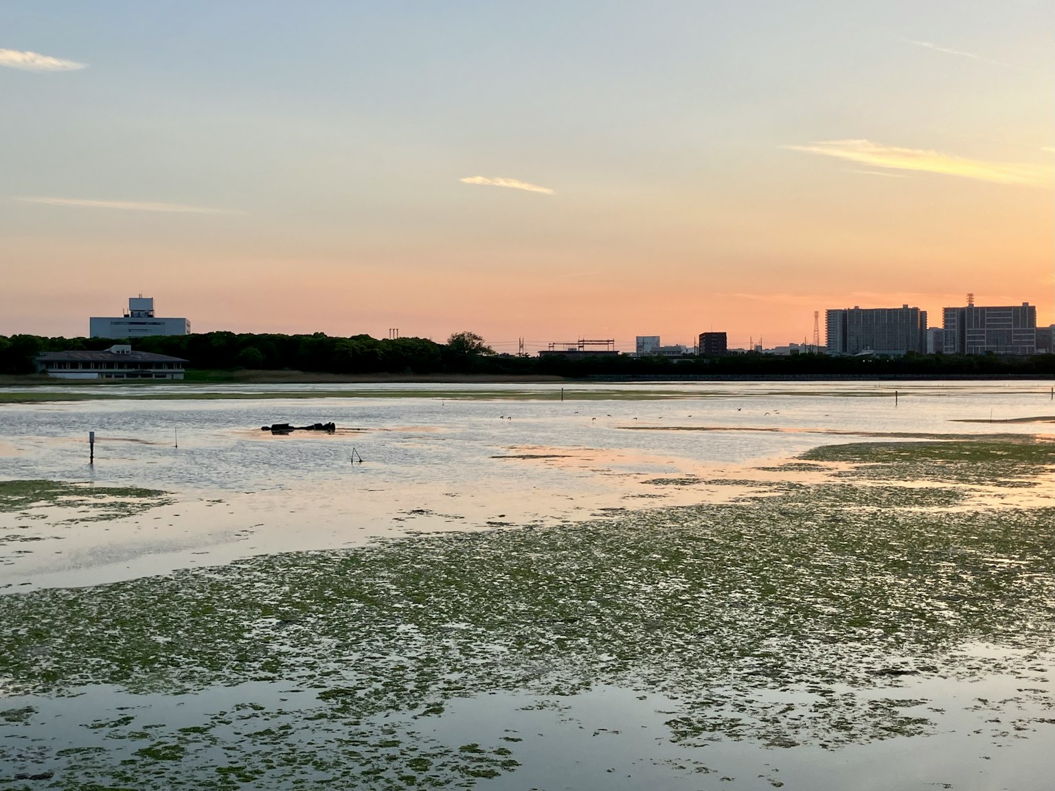 Lago sereno al crepuscolo con lo skyline cittadino sullo sfondo