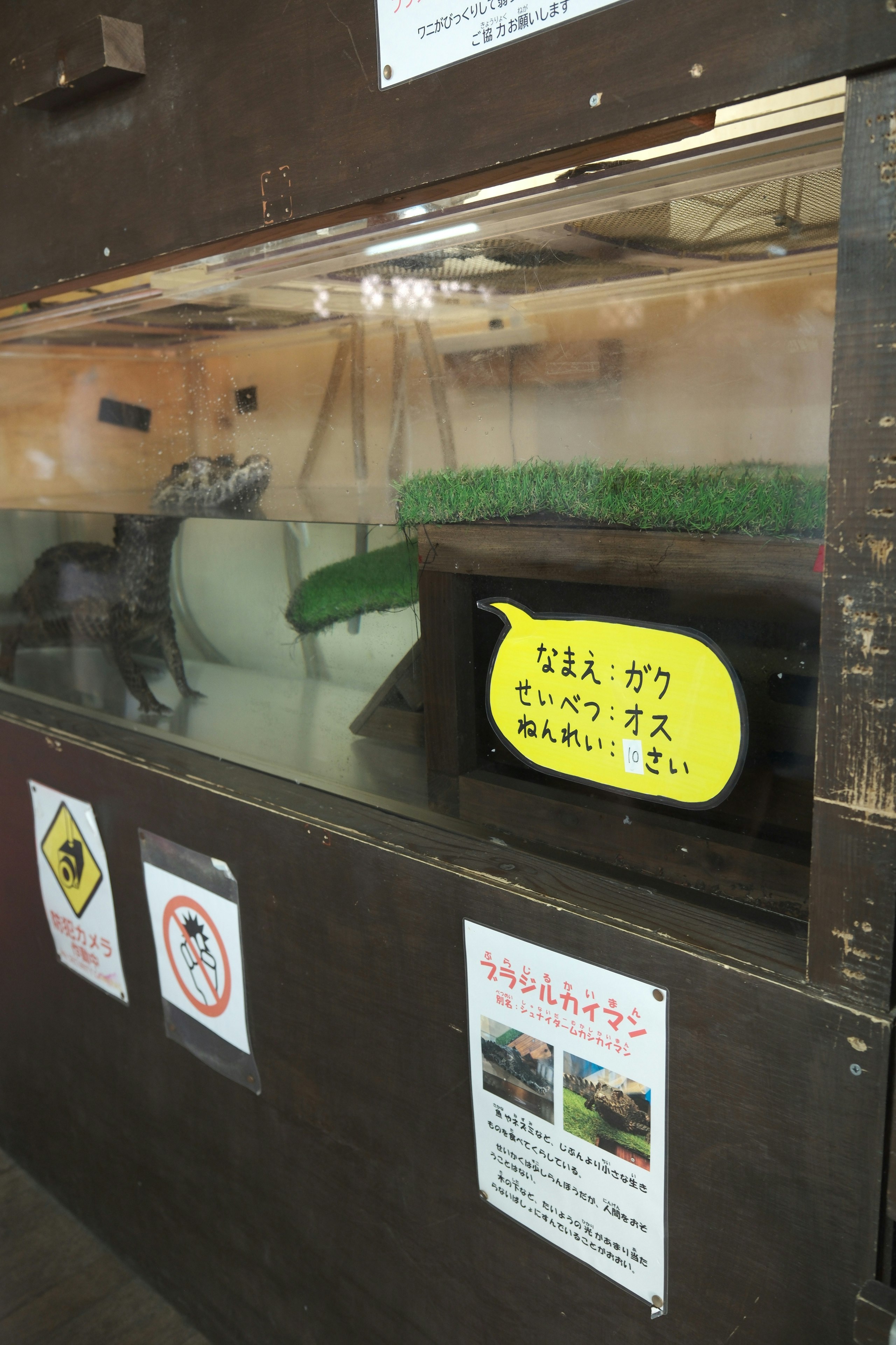 別府地獄巡りの鬼山地獄で展示されるワニのいる水槽の案内板のある展示窓