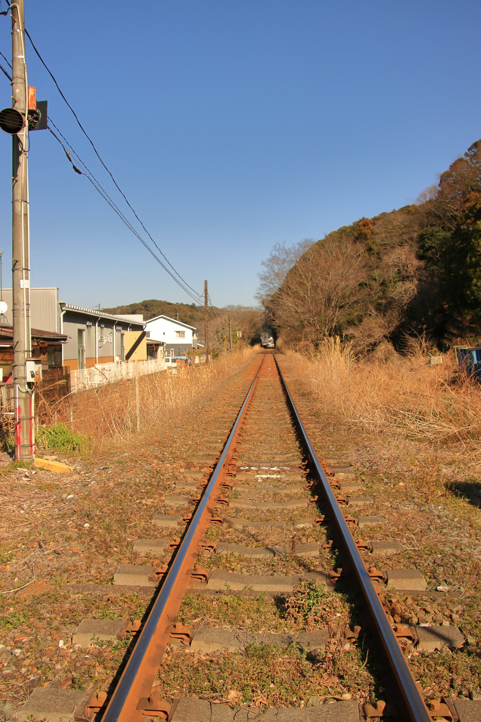 Railway tracks leading into the distance with clear blue sky and surrounding nature