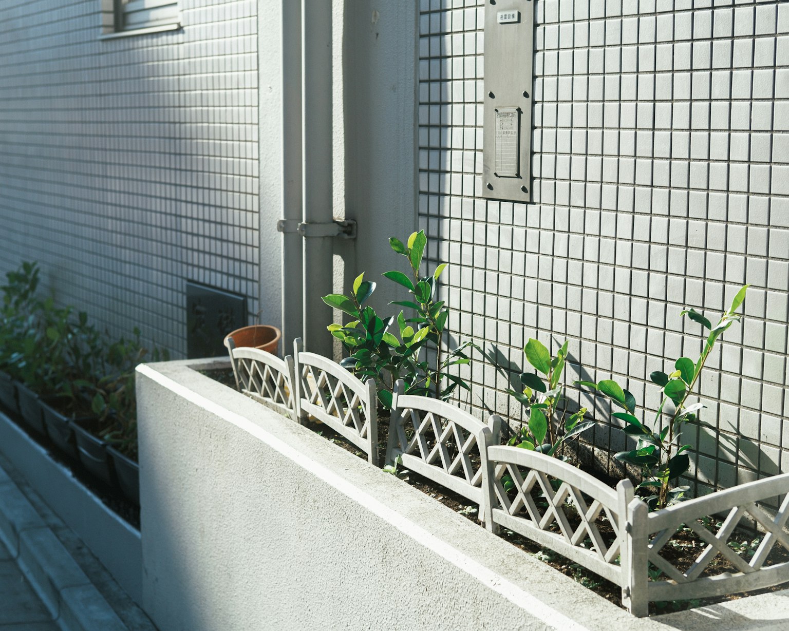 Une scène de rue avec de petites plantes en pot disposées derrière une clôture blanche