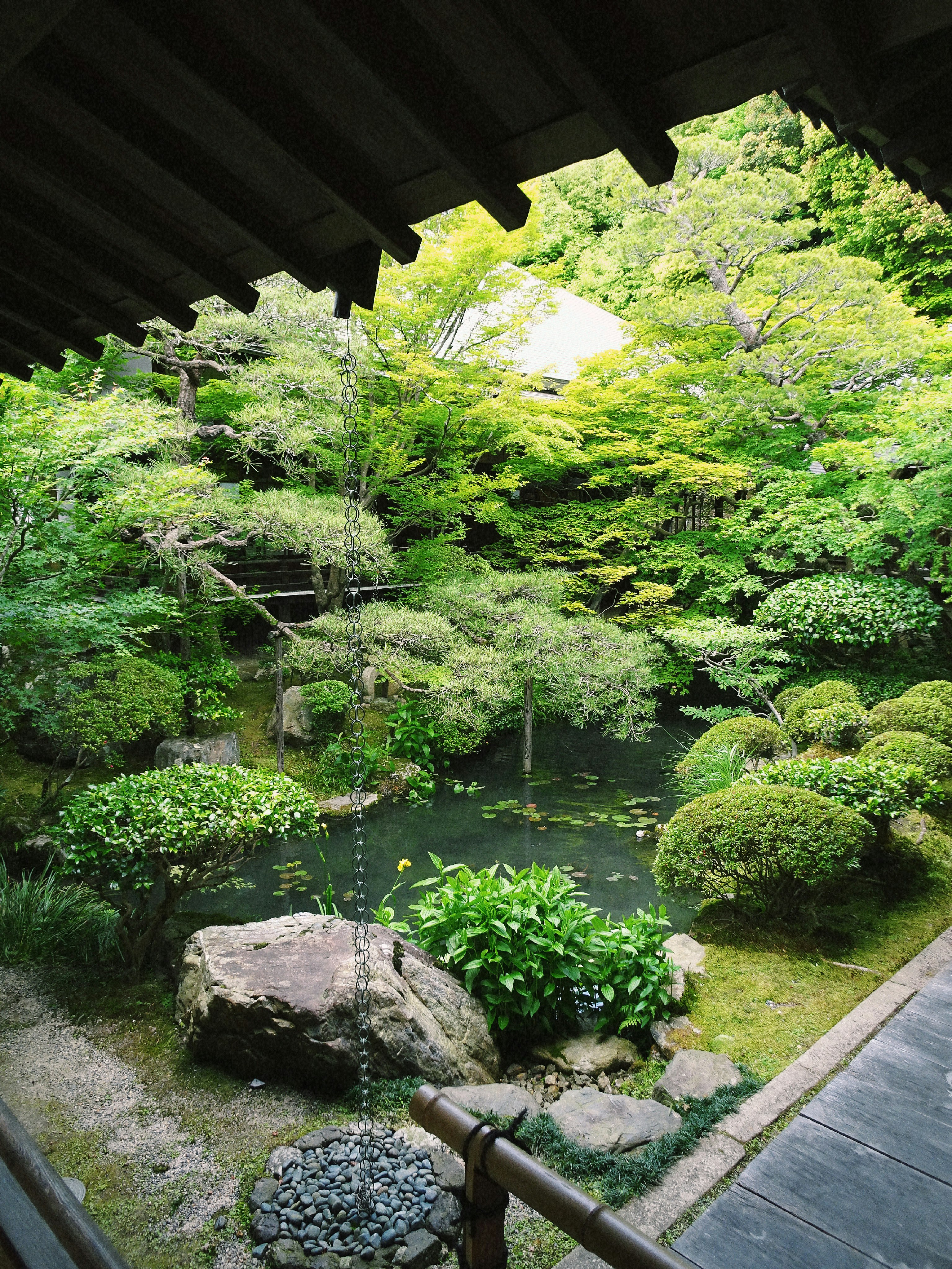Blick von der Veranda auf einen Teich im moosigen Garten