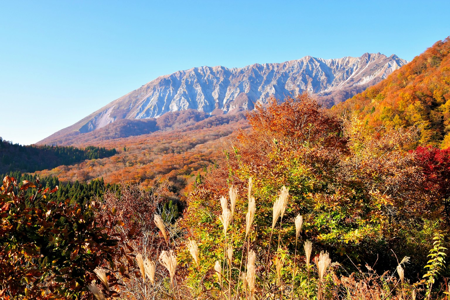 아름다운 가을 풍경과 다채로운 나무들 그리고 웅장한 산들