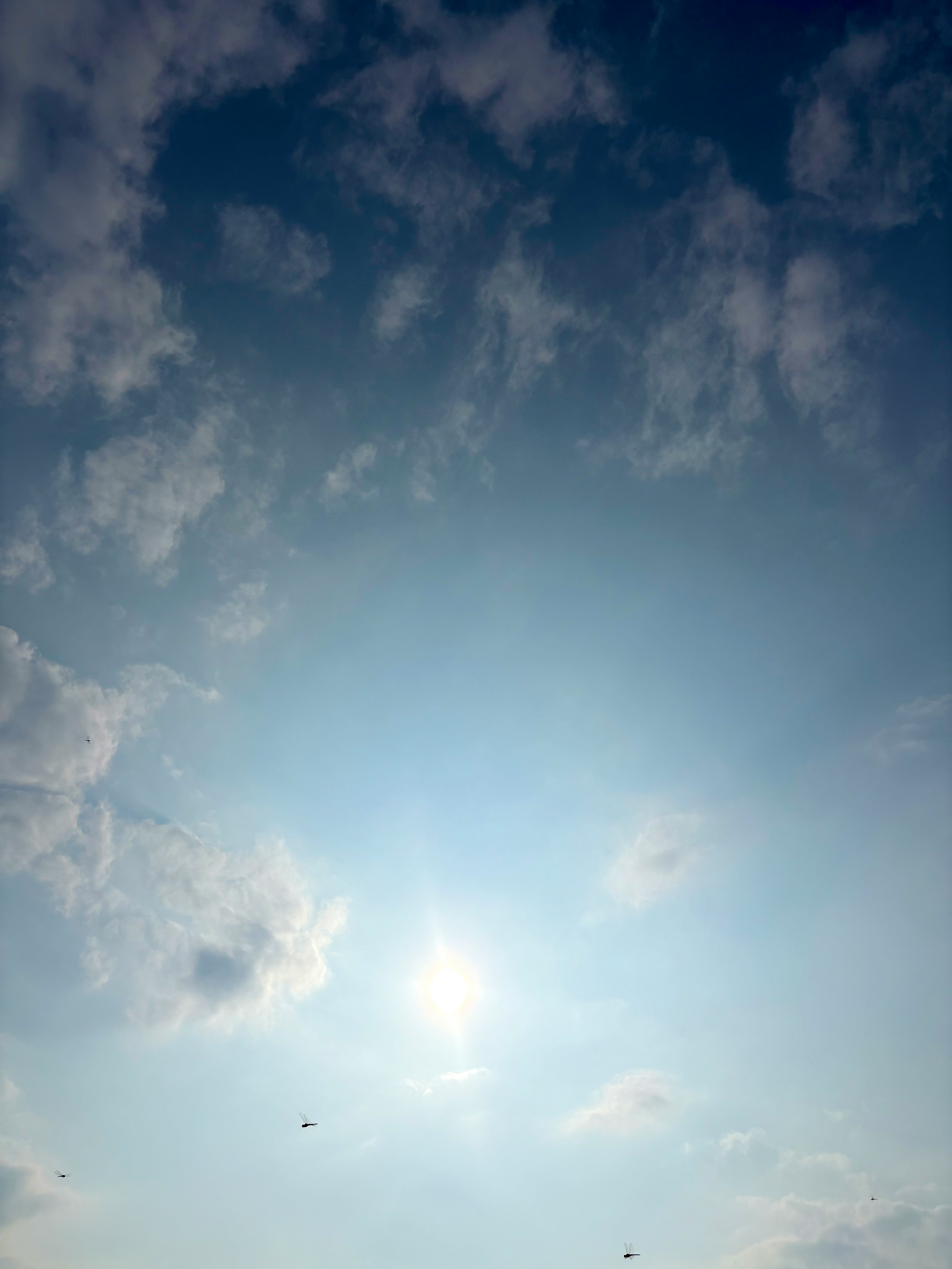 9月の空に広がる太陽光と雲
