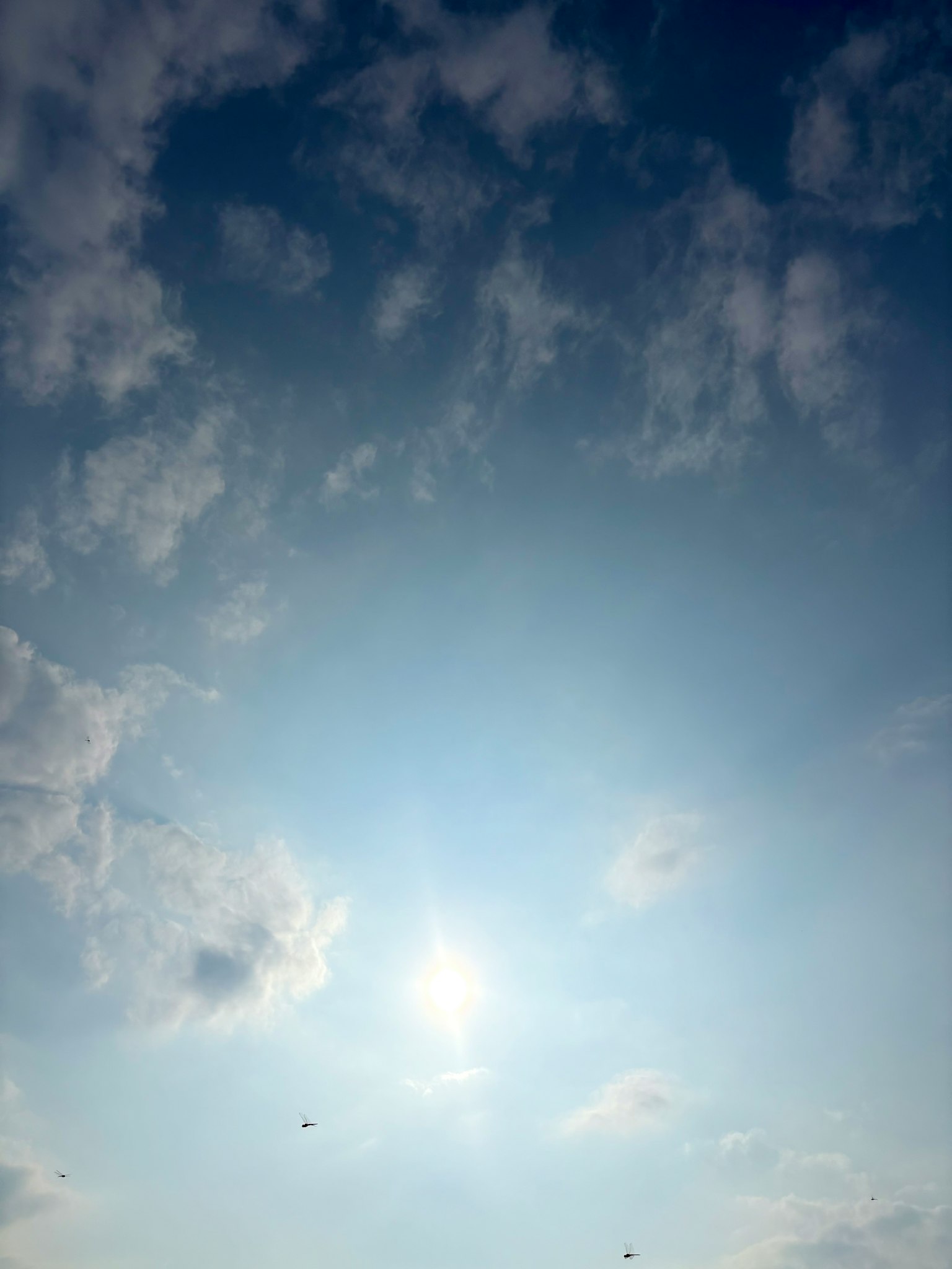 青空と白い雲が広がる風景