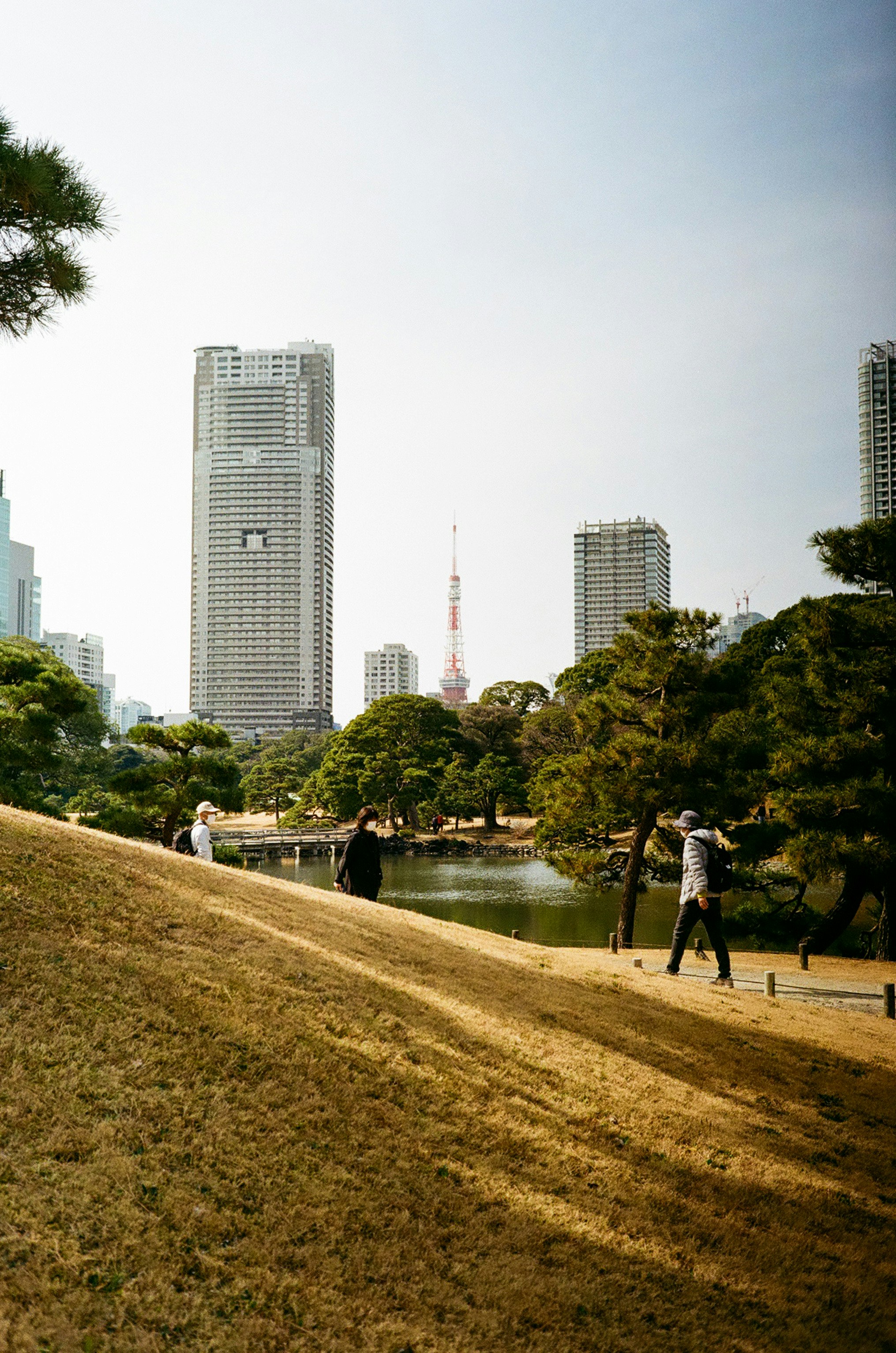 浜離宮恩賜公園の芝生と池、東京の高層ビルとスカイツリーが見える景色