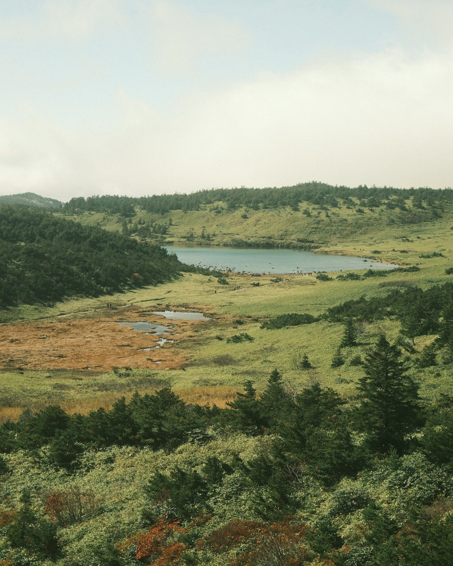 Collines luxuriantes et lac tranquille dans un paysage pittoresque