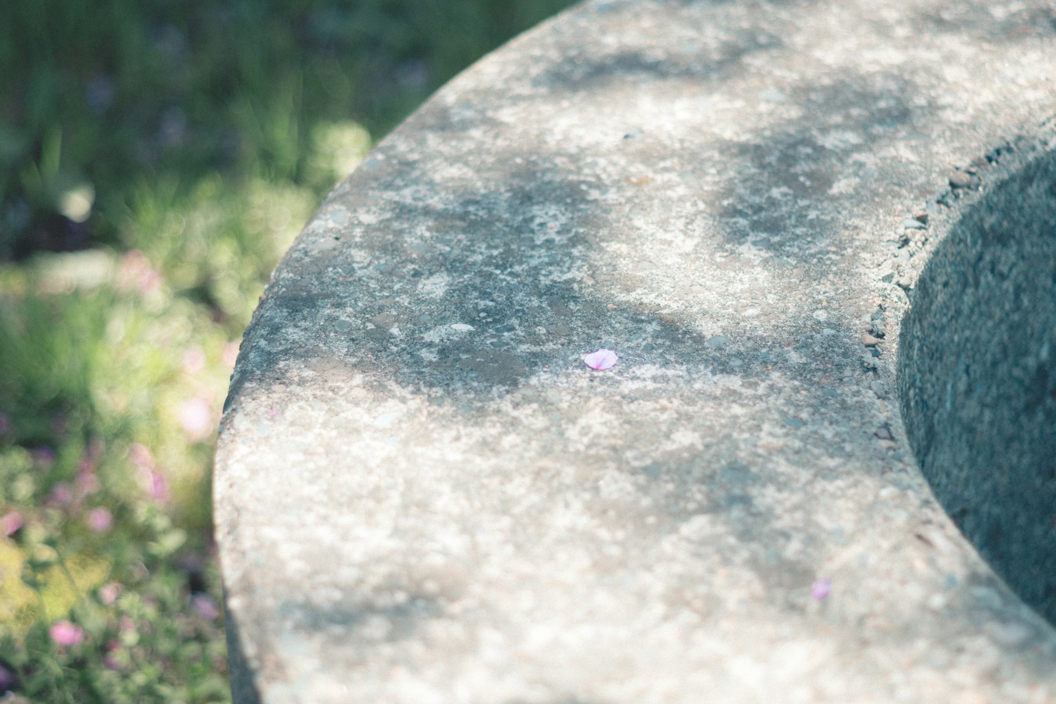 photo-rbyUocEq5rcdnvEw93gk-image