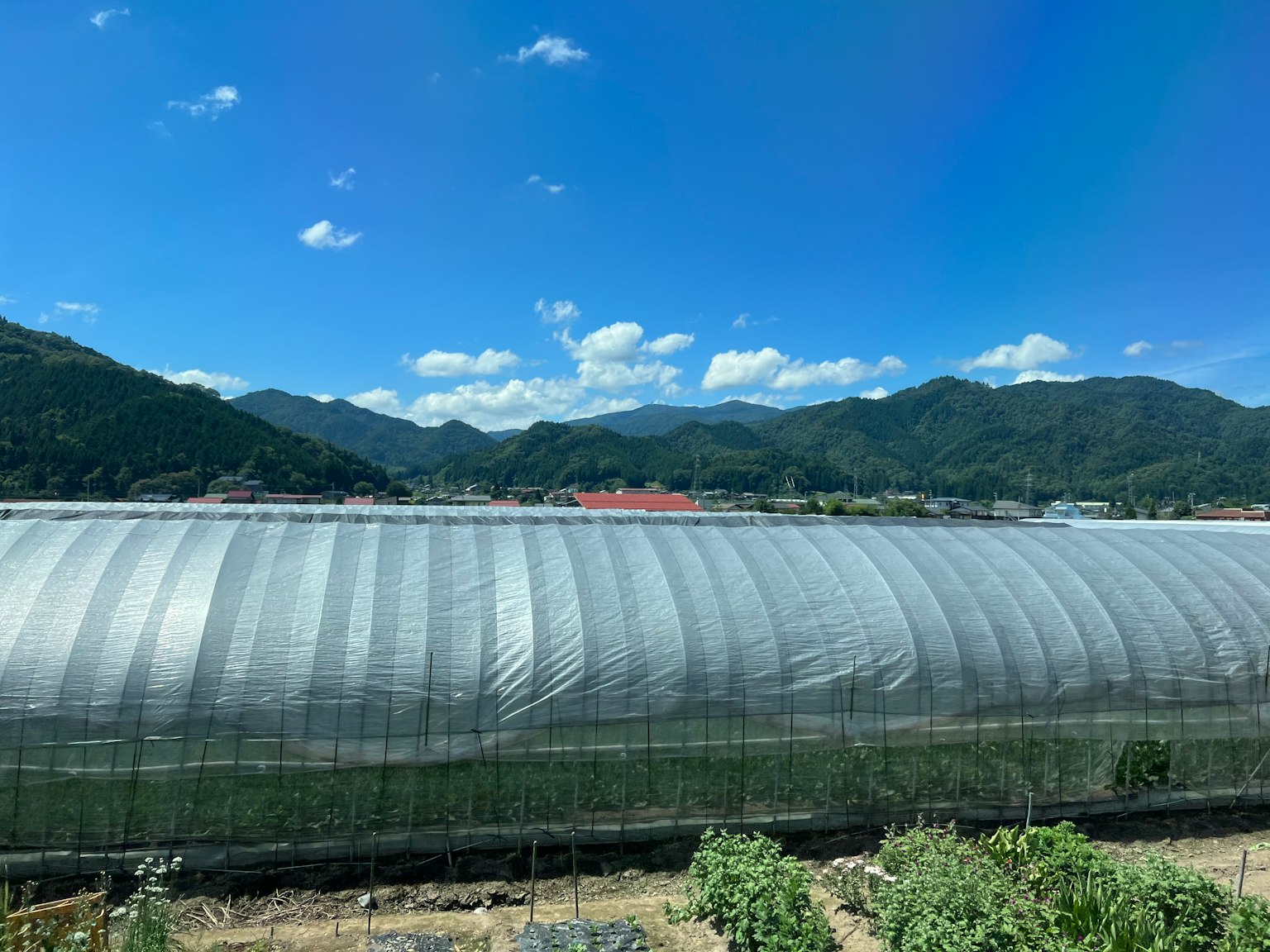 温室结构和背景中的山脉