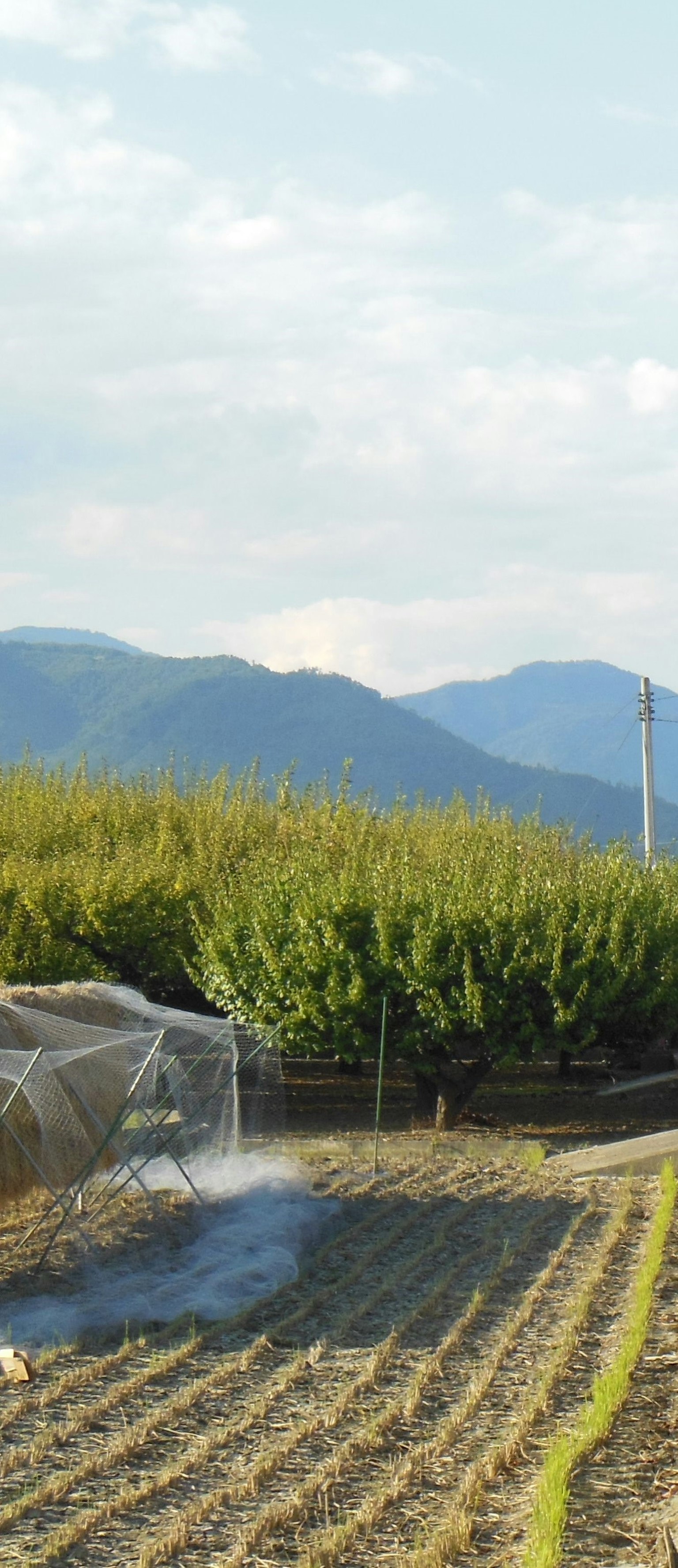 农田风景，山脉和蓝天，灌溉喷雾