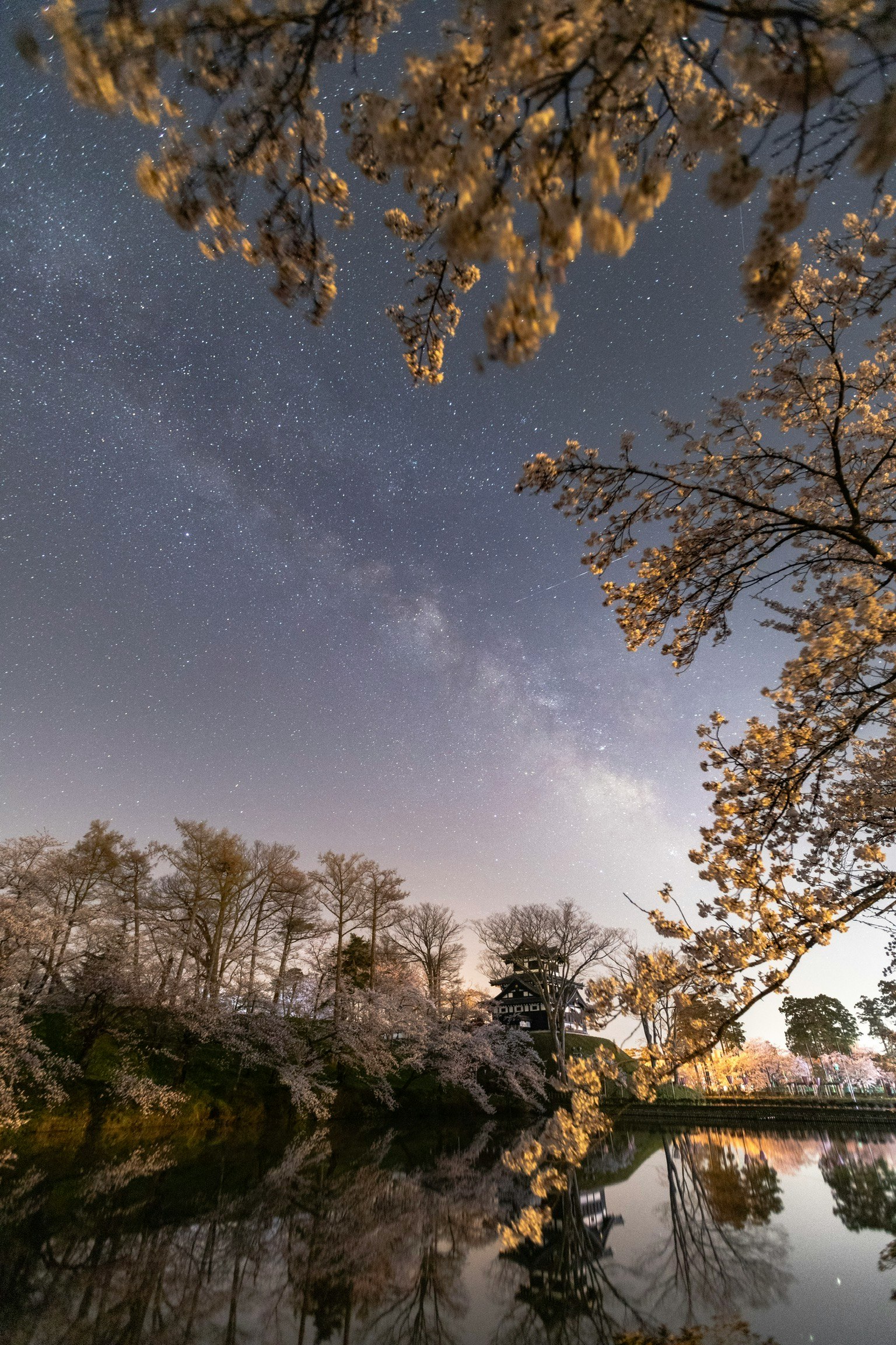 Nachthimmel mit Sternen über Kirschblüten am Fluss