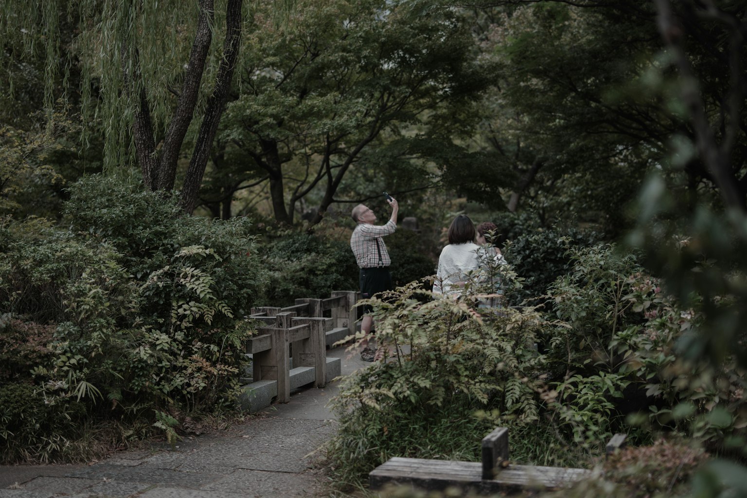 Due persone che camminano su un sentiero tranquillo in un parco circondato da alberi e piante verdi