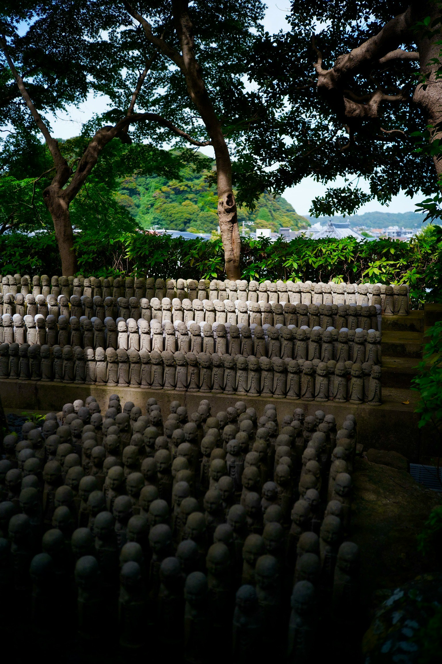 Pemandangan tenang dengan barisan patung batu dikelilingi oleh pepohonan