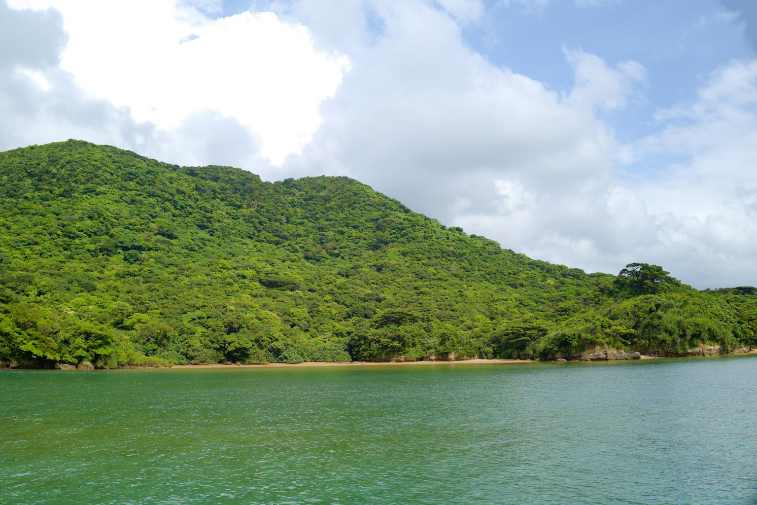 Montaña verde exuberante junto a un mar azul tranquilo