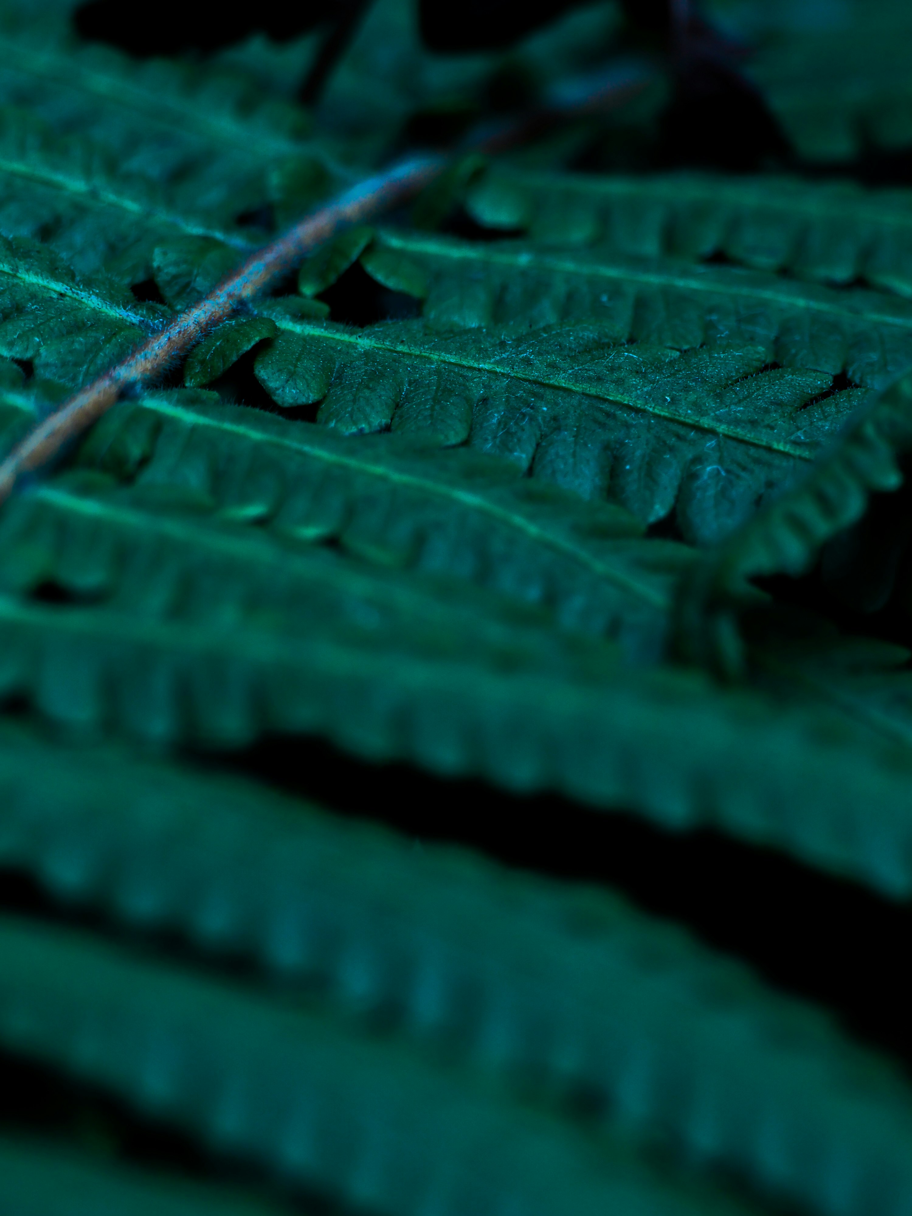 green-tinted gear-like parts arranged on fabric