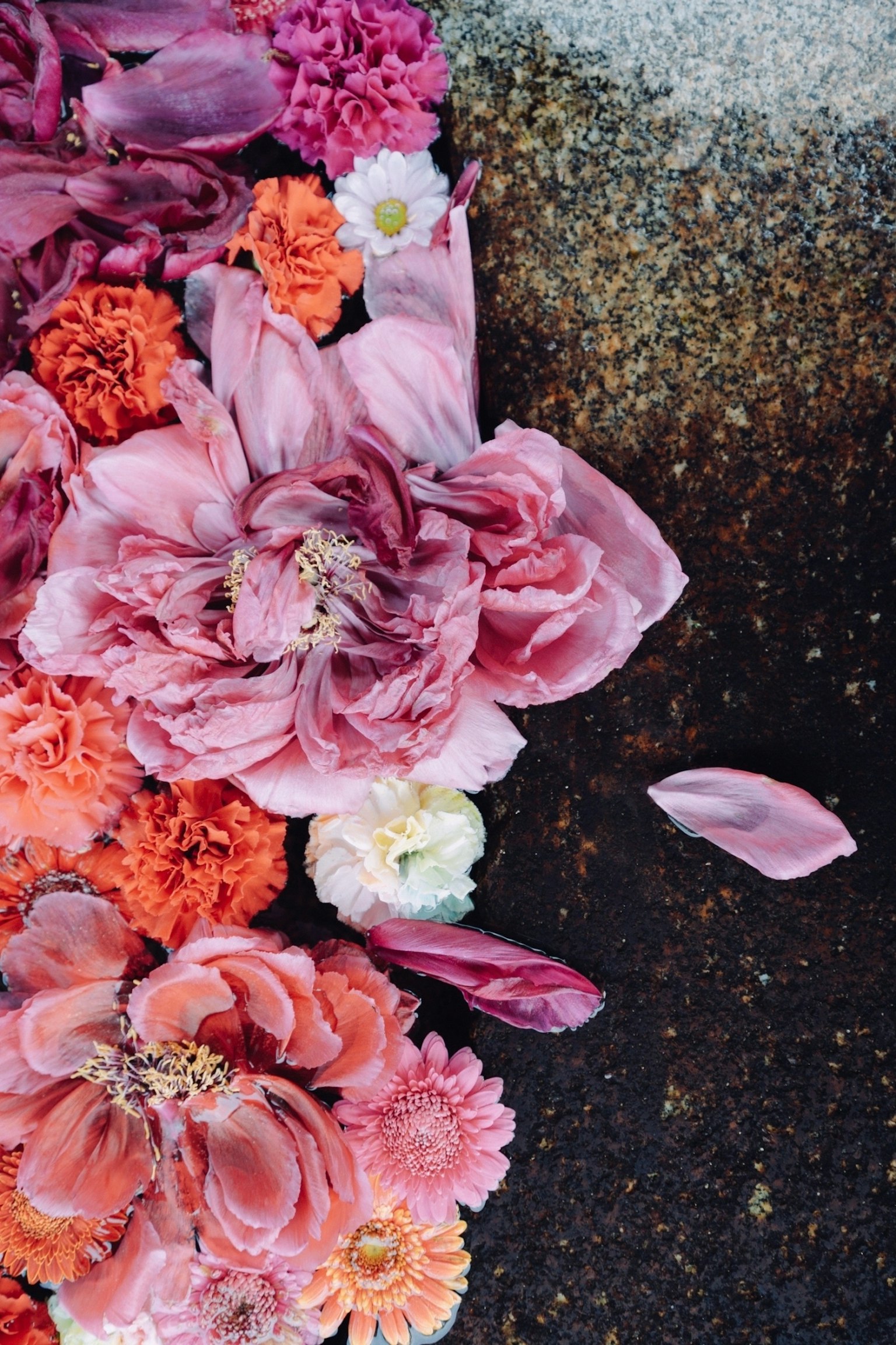Une belle composition de fleurs colorées éparpillées sur le sol