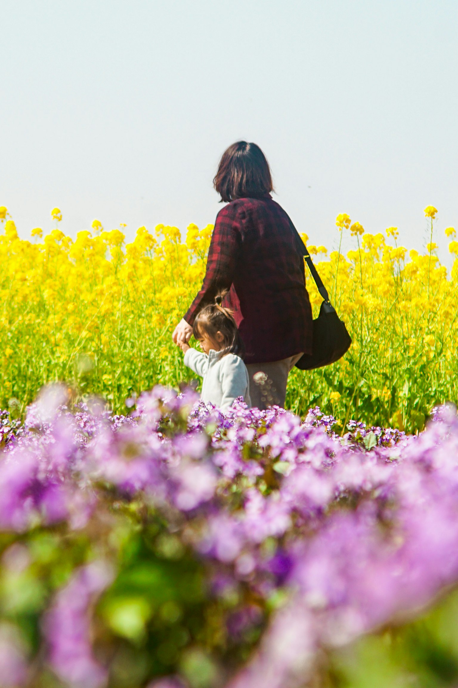 Una madre e un bambino che camminano in un campo con fiori viola in primo piano e fiori gialli sullo sfondo