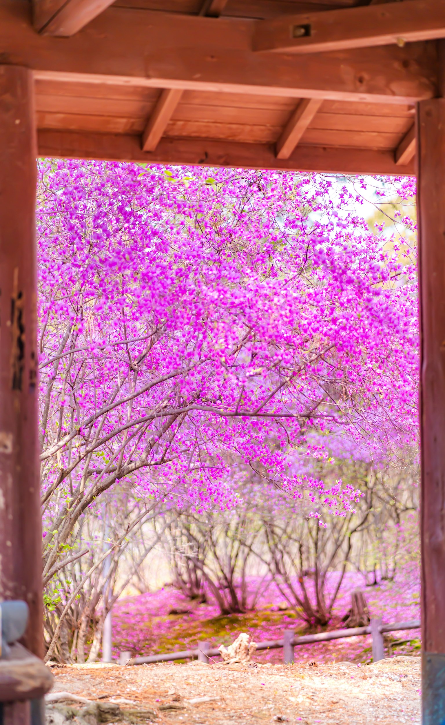photo-reJOio04IxUQcJXioIjp-image