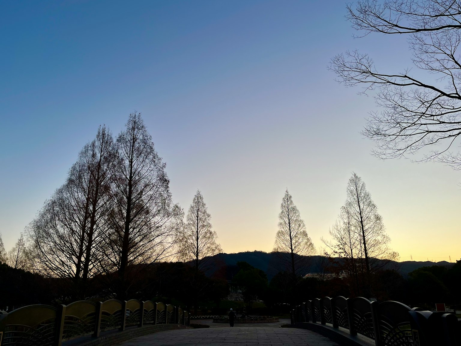 Silueta de árboles al atardecer con un puente