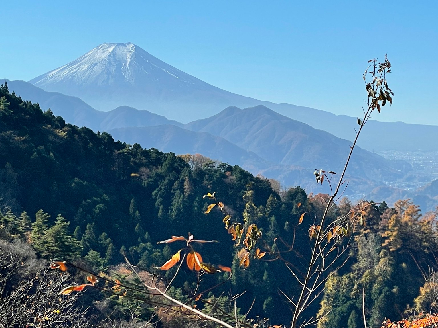 Schöne Berge mit dem Fuji im Hintergrund und Herbstlaub