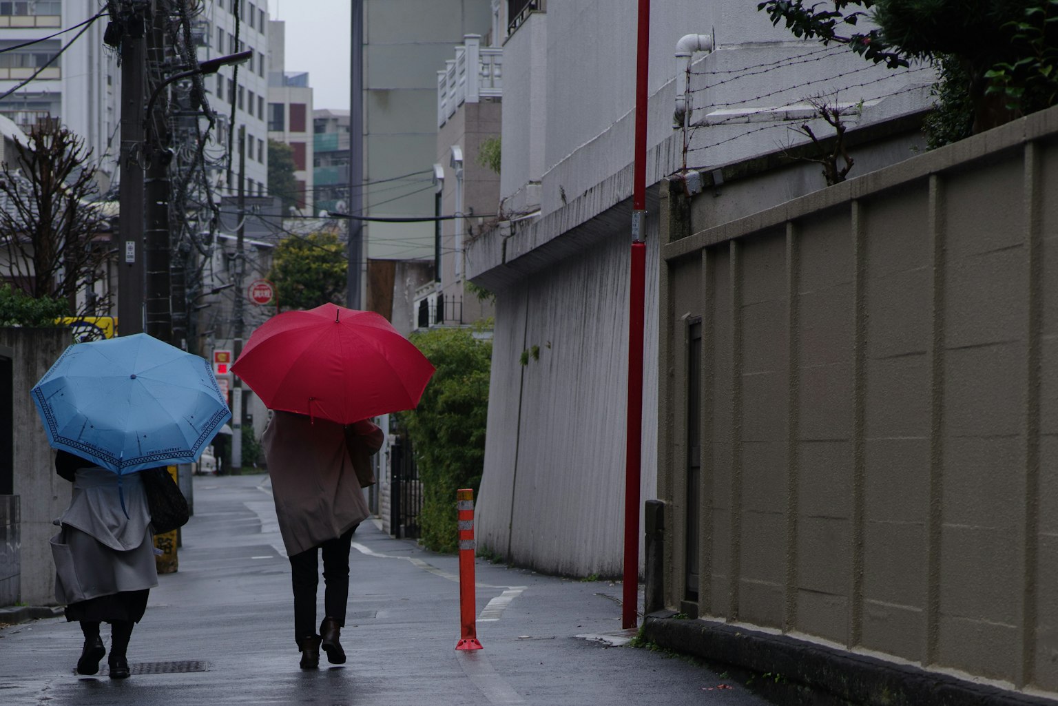 ผู้หญิงสองคนเดินในสายฝนถือร่มสีน้ำเงินและสีแดงในบรรยากาศเมือง