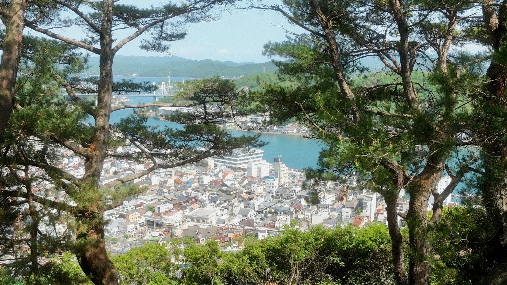 木々の間から見下ろす海沿いの街並みと湾