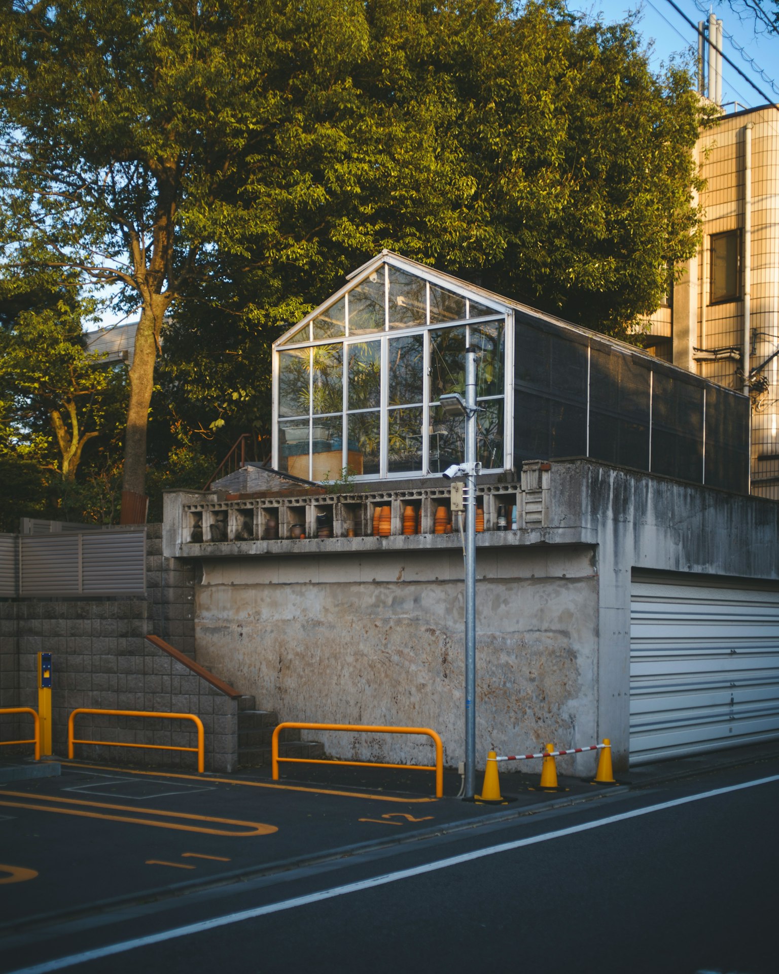 被混凝土墙围绕的玻璃温室建筑的外观