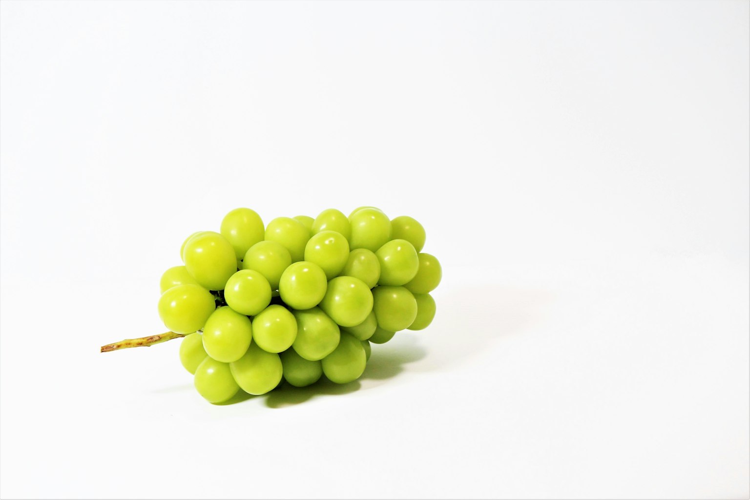 Fresh green grape cluster on a white background