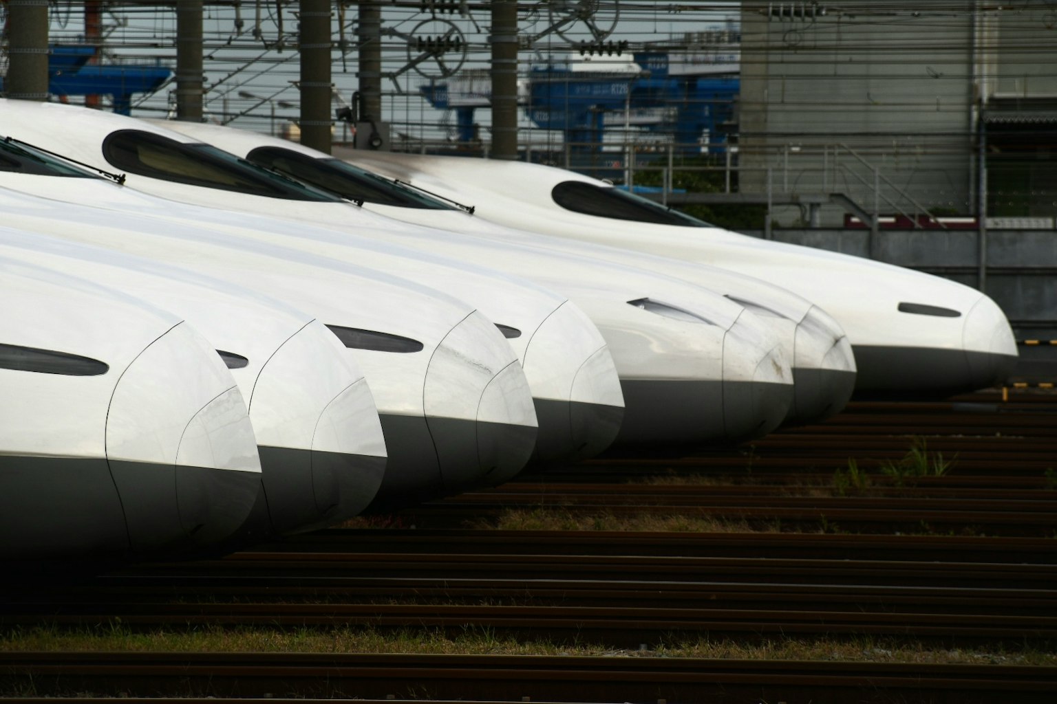 一排新幹線列車前端展示流線型白色設計