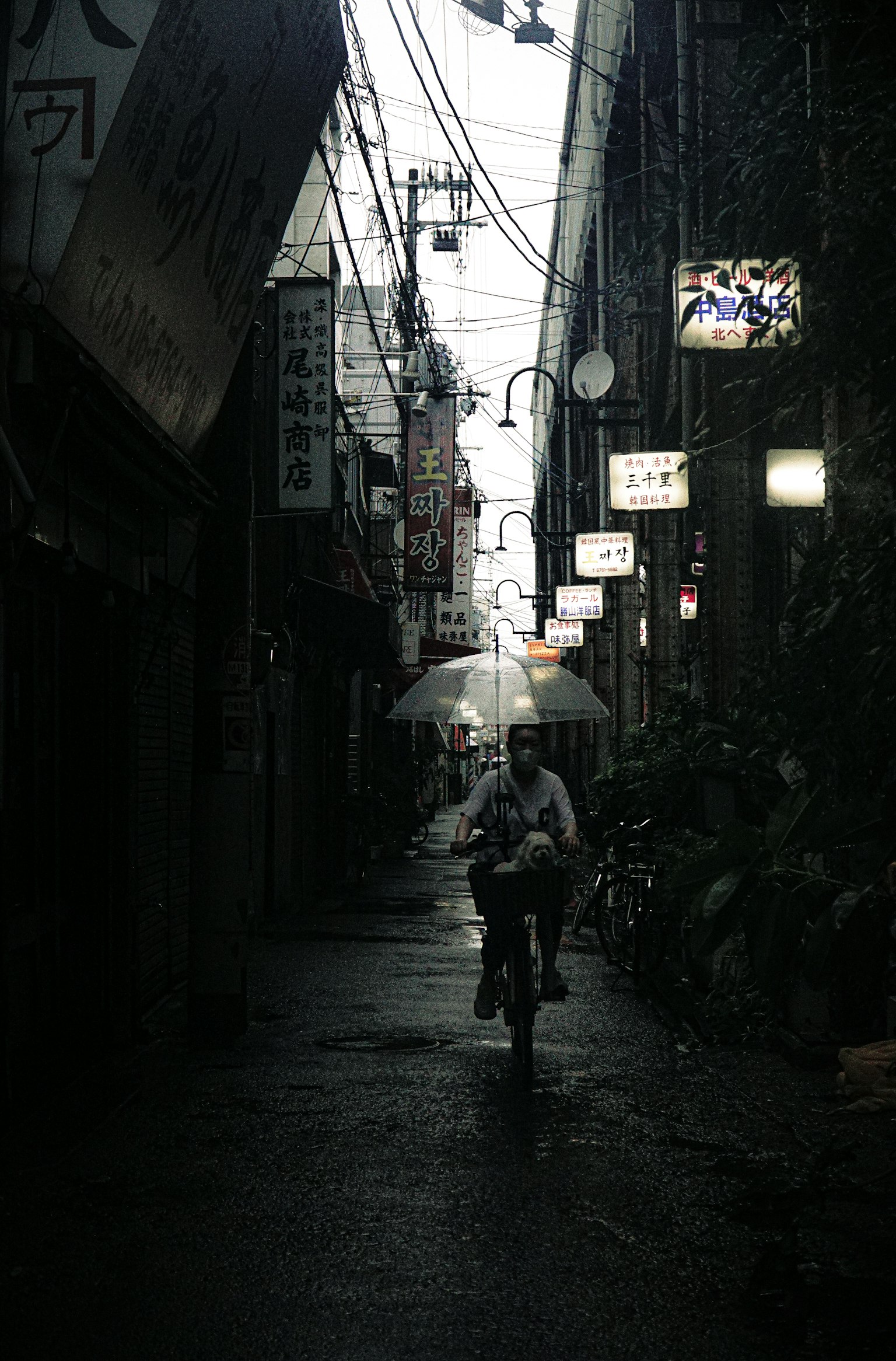 photo-rgpxODBKNggZl4E4hUTA-image