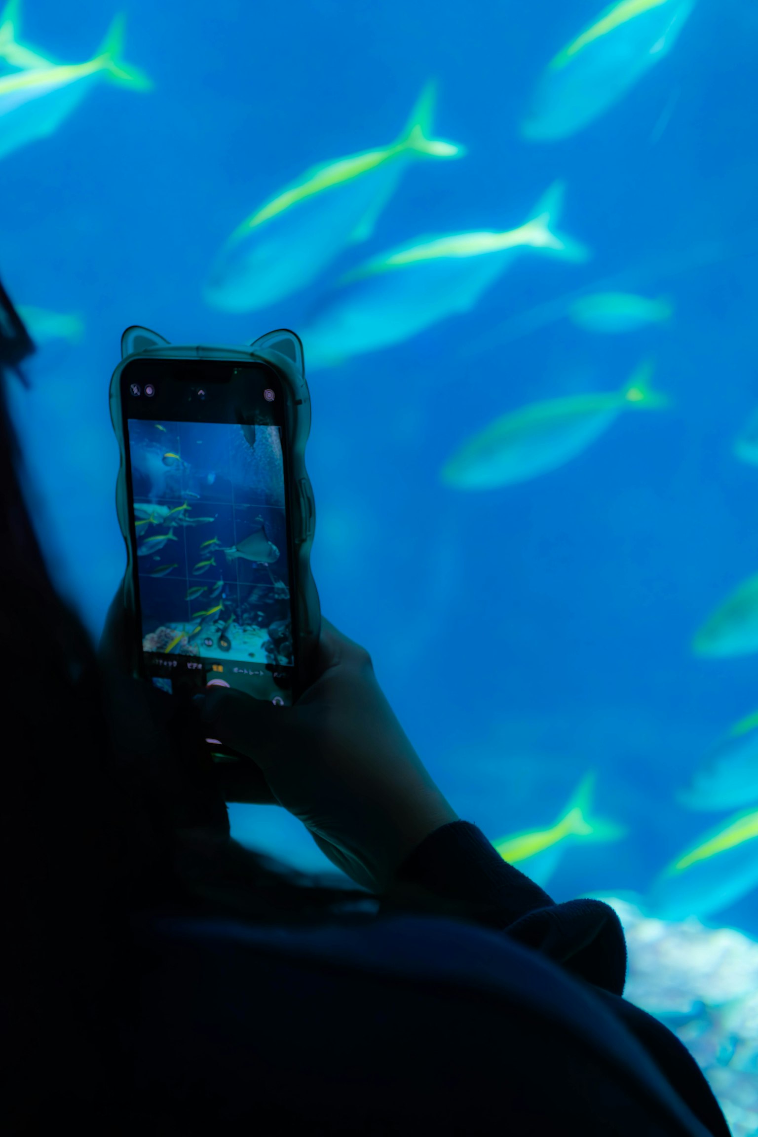 水族館で魚を撮影する人の手と青い水の背景