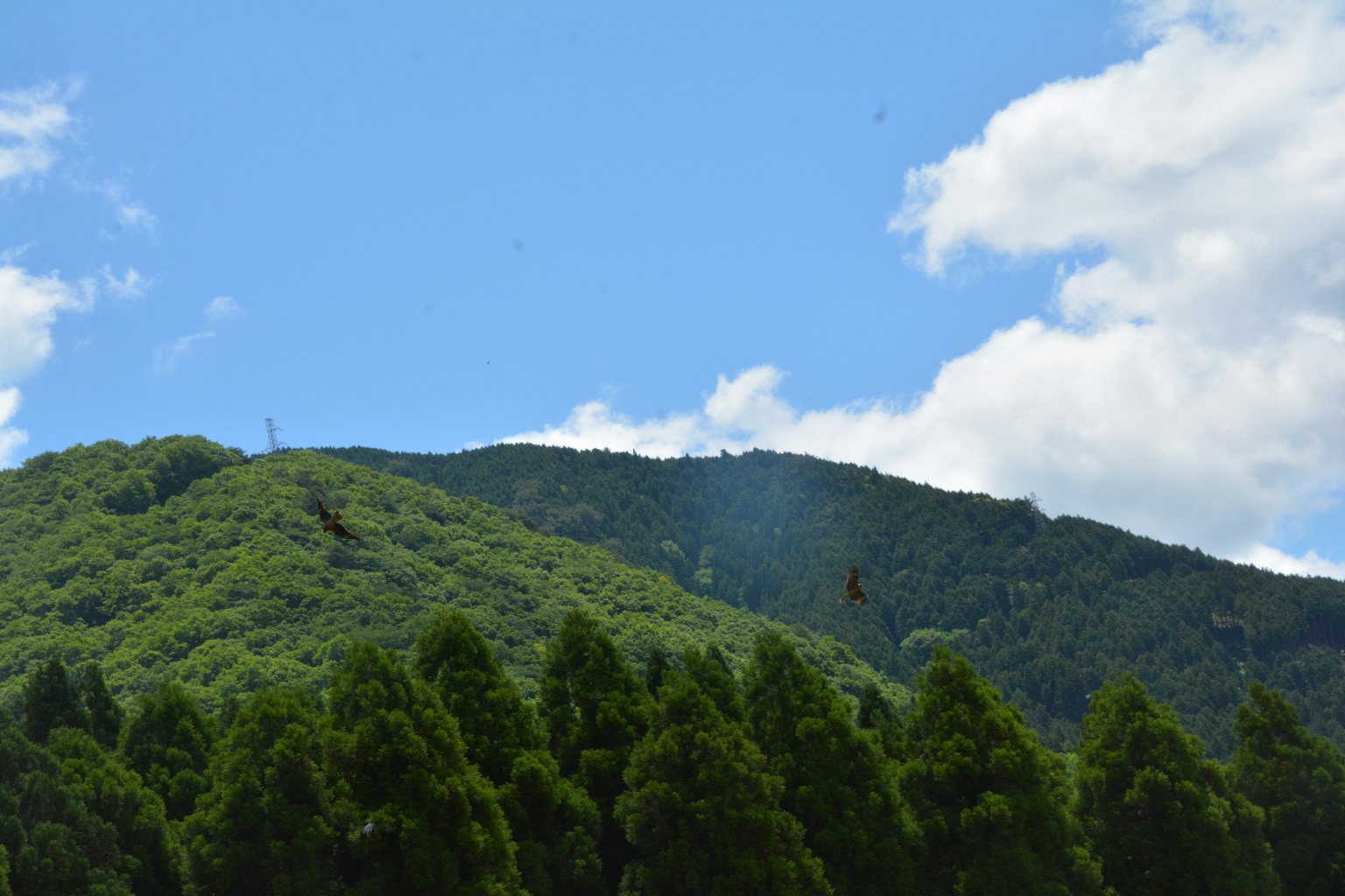 Lush green mountains under a blue sky with clouds