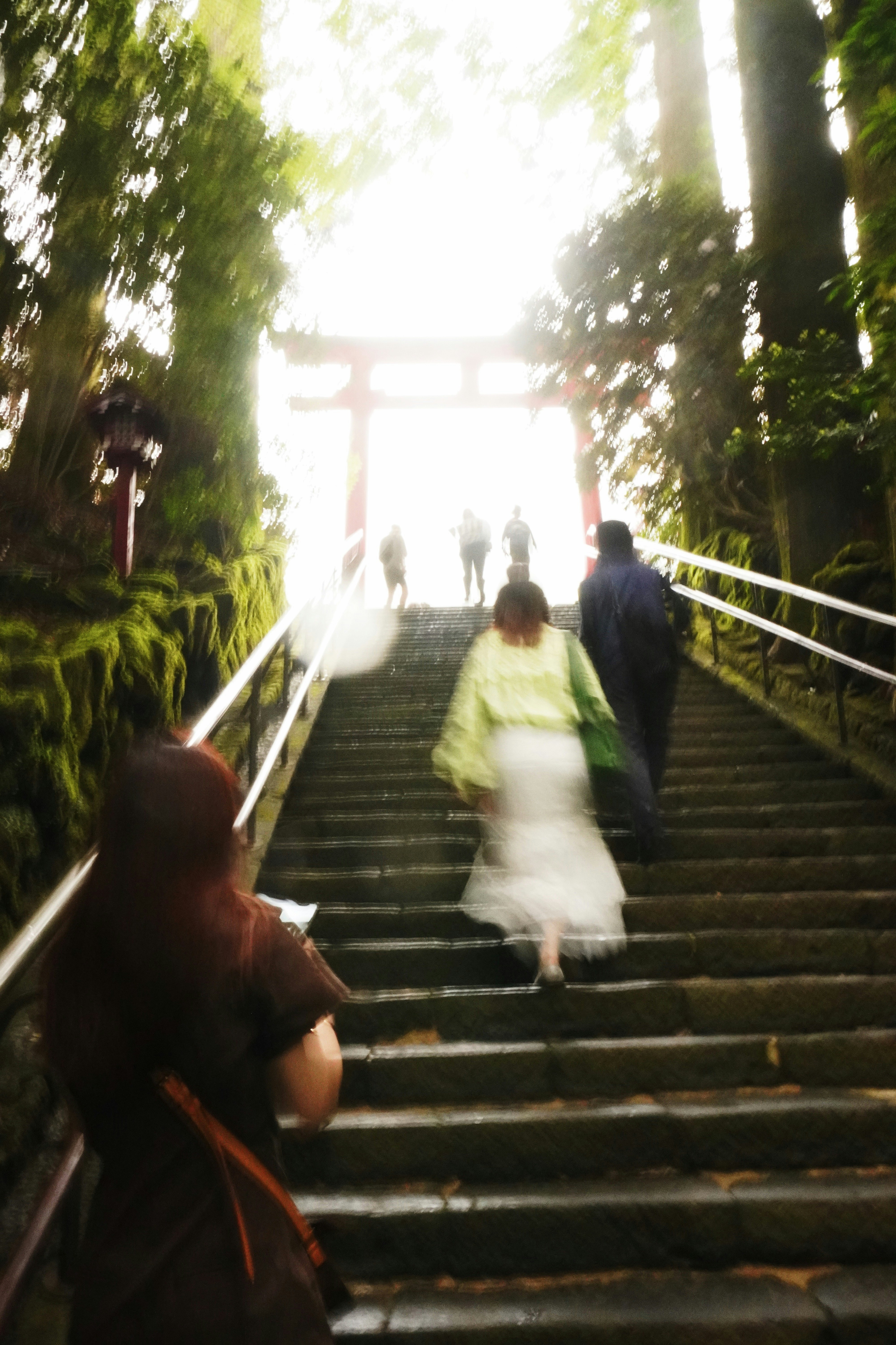 雨中在箱根自驾的人们背影