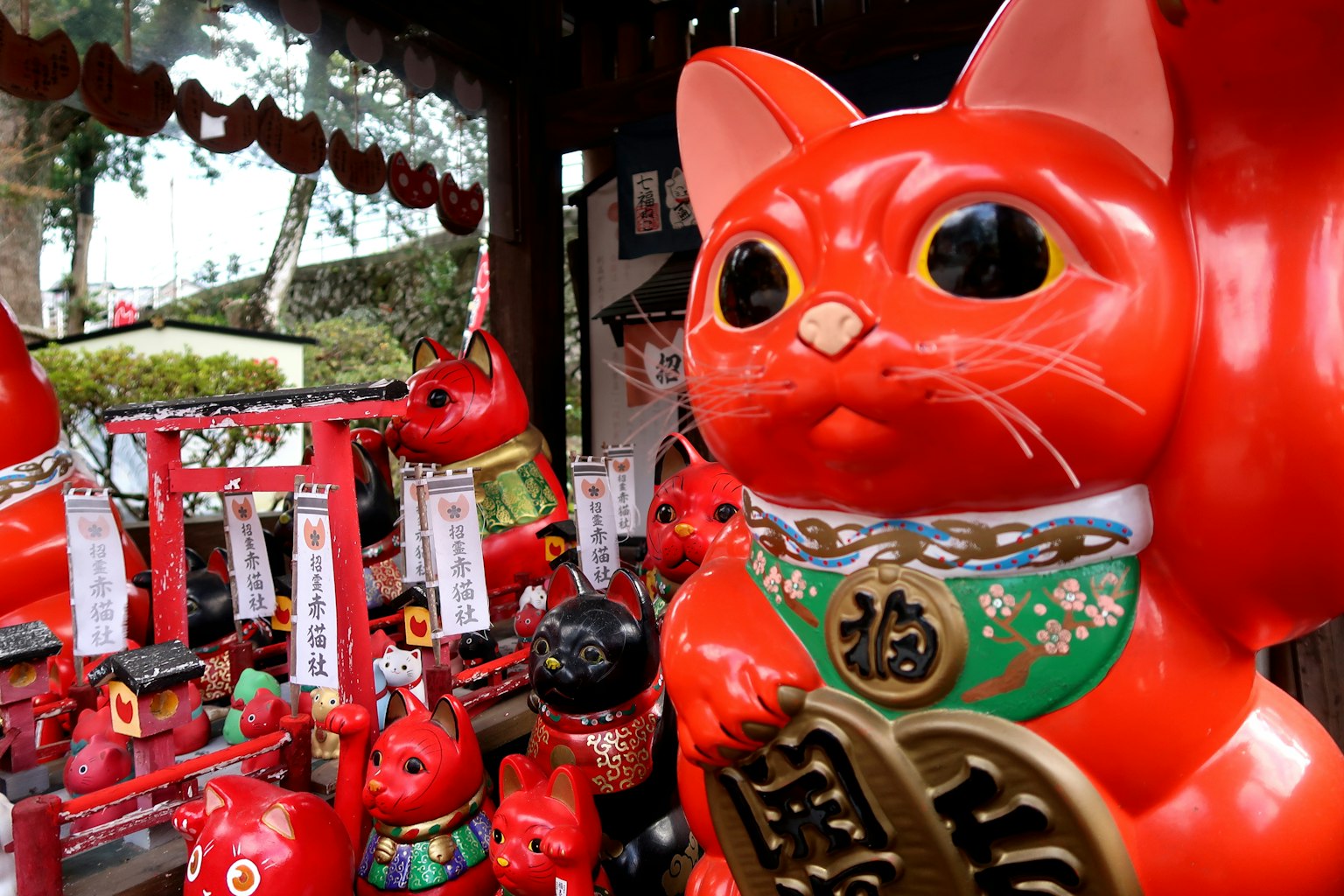 Una exhibición de figuras de gatos de la suerte rojos con diferentes tamaños y diseños