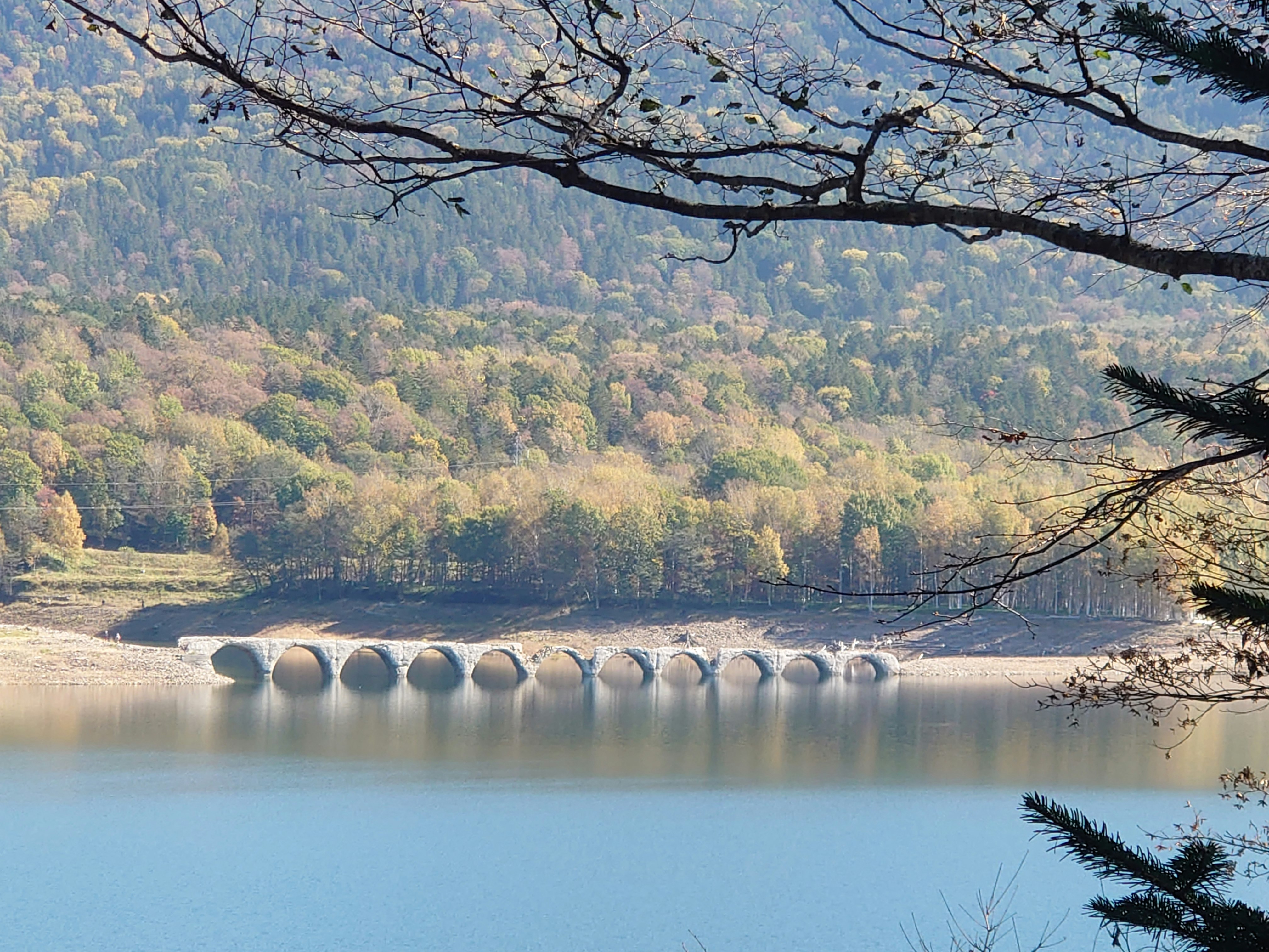 pont en pierre sur un lac calme avec des branches d’arbres de printemps