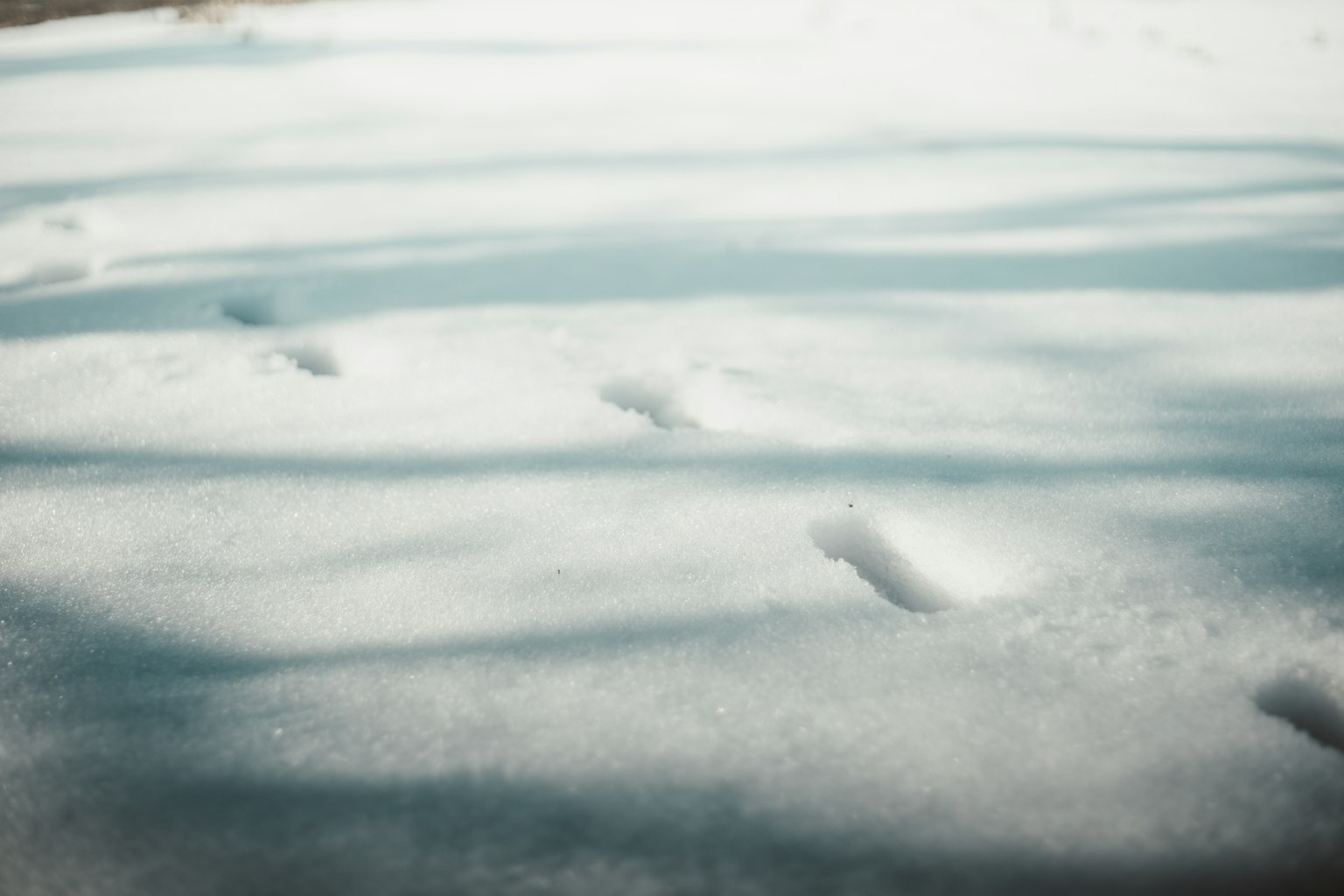 Des empreintes dans la neige avec des ombres sur la surface