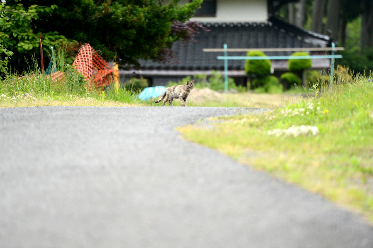 A view of a paved path leading to a green grassy area with a house in the background