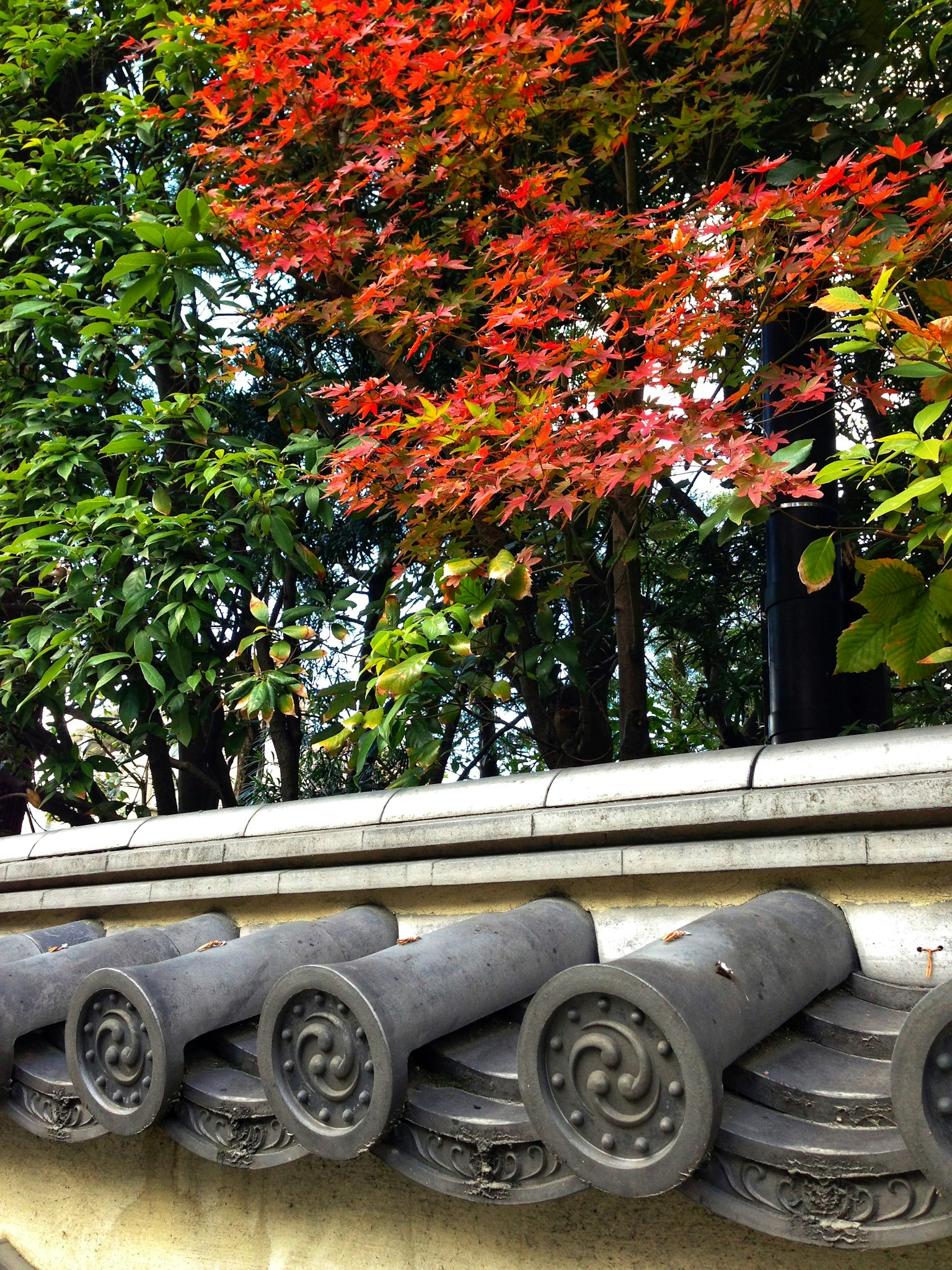 Décoration de toit traditionnelle avec des feuilles rouges et des arbres verts en arrière-plan