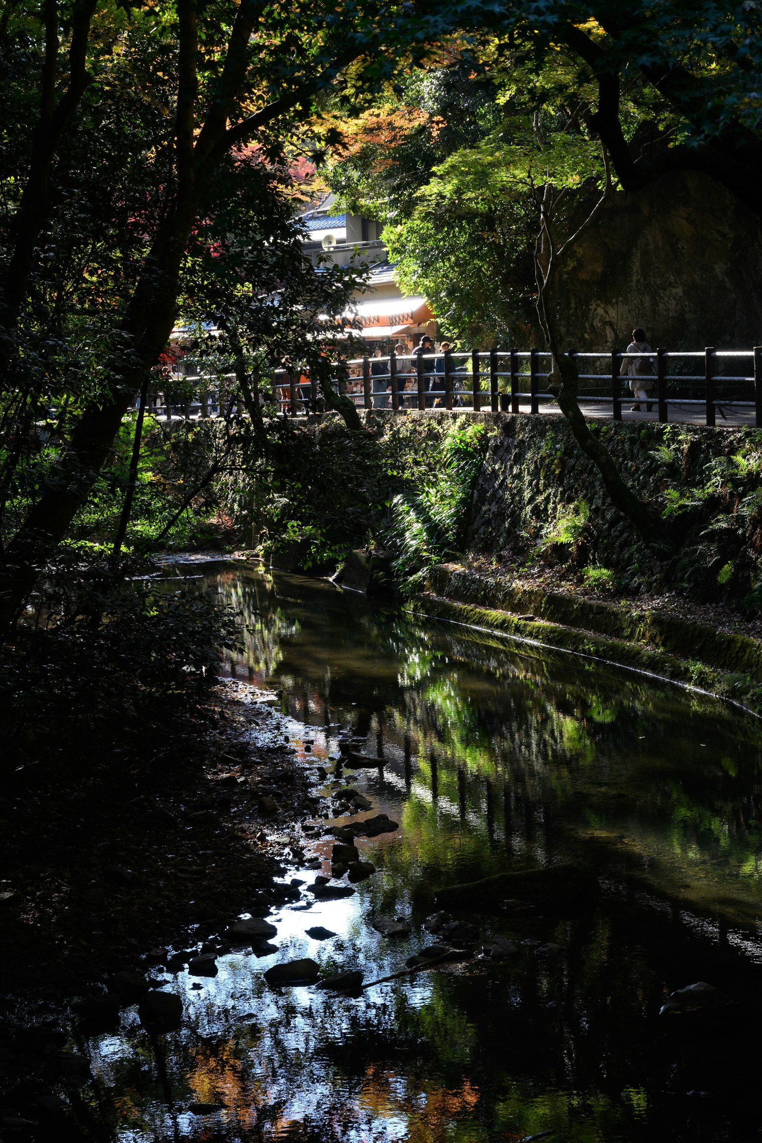 静かな川と木々に囲まれた小道の風景