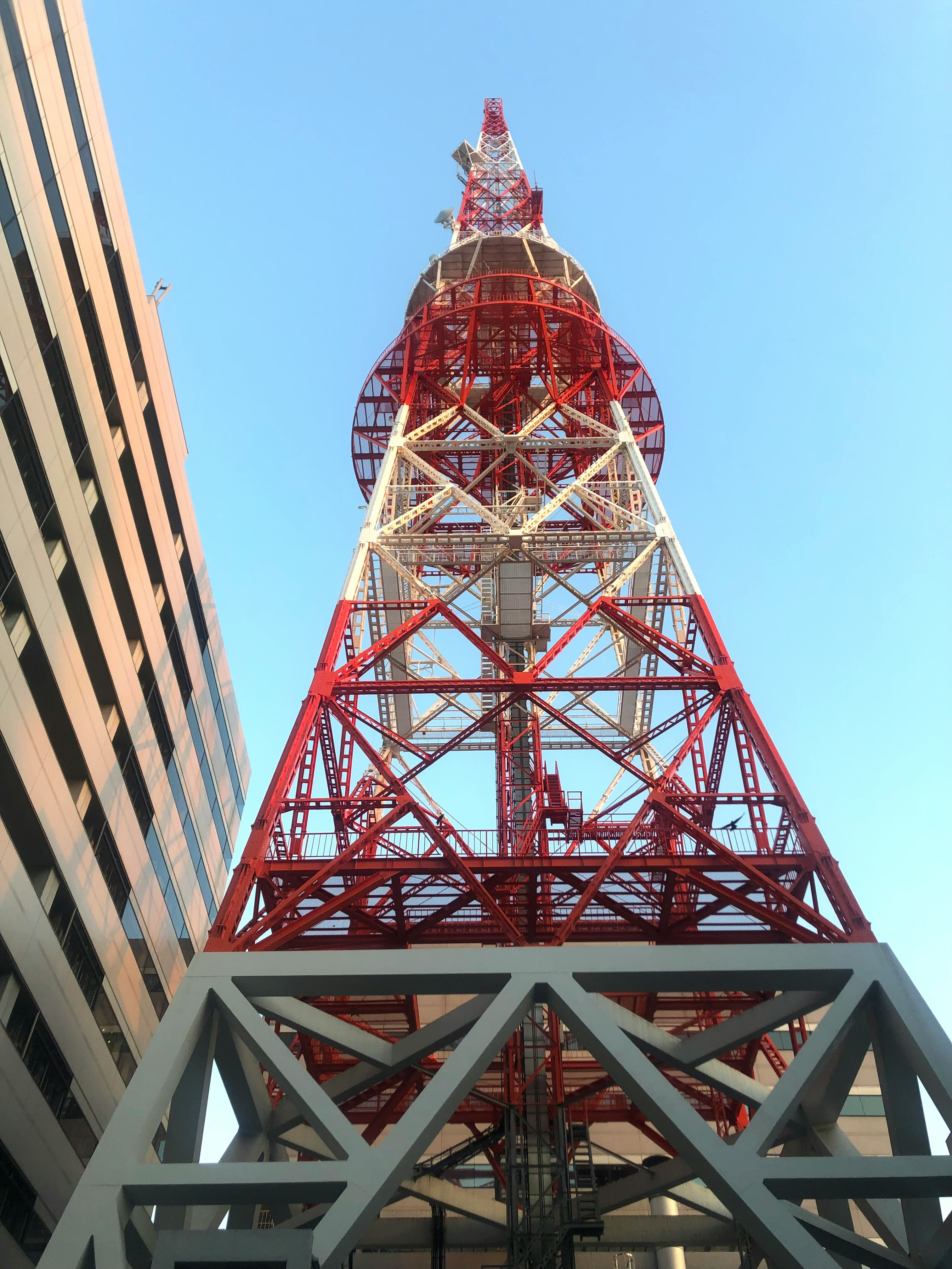 夕方のテレビ局タワーを見上げる赤い鉄塔の展望