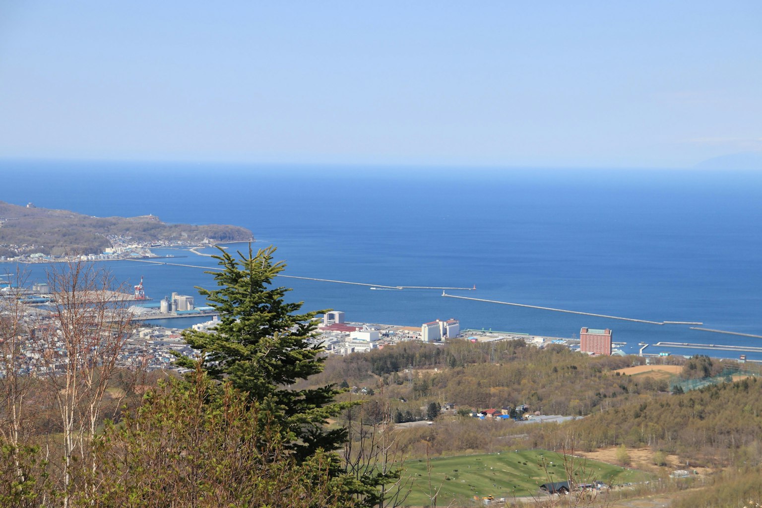 Vue panoramique sur une ville côtière et l'océan depuis une colline verdoyante