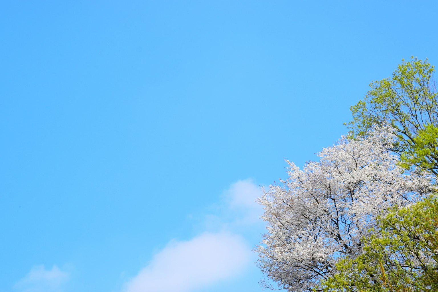 photo-rjQrUgQZeZf4lhplZ6Ie-image