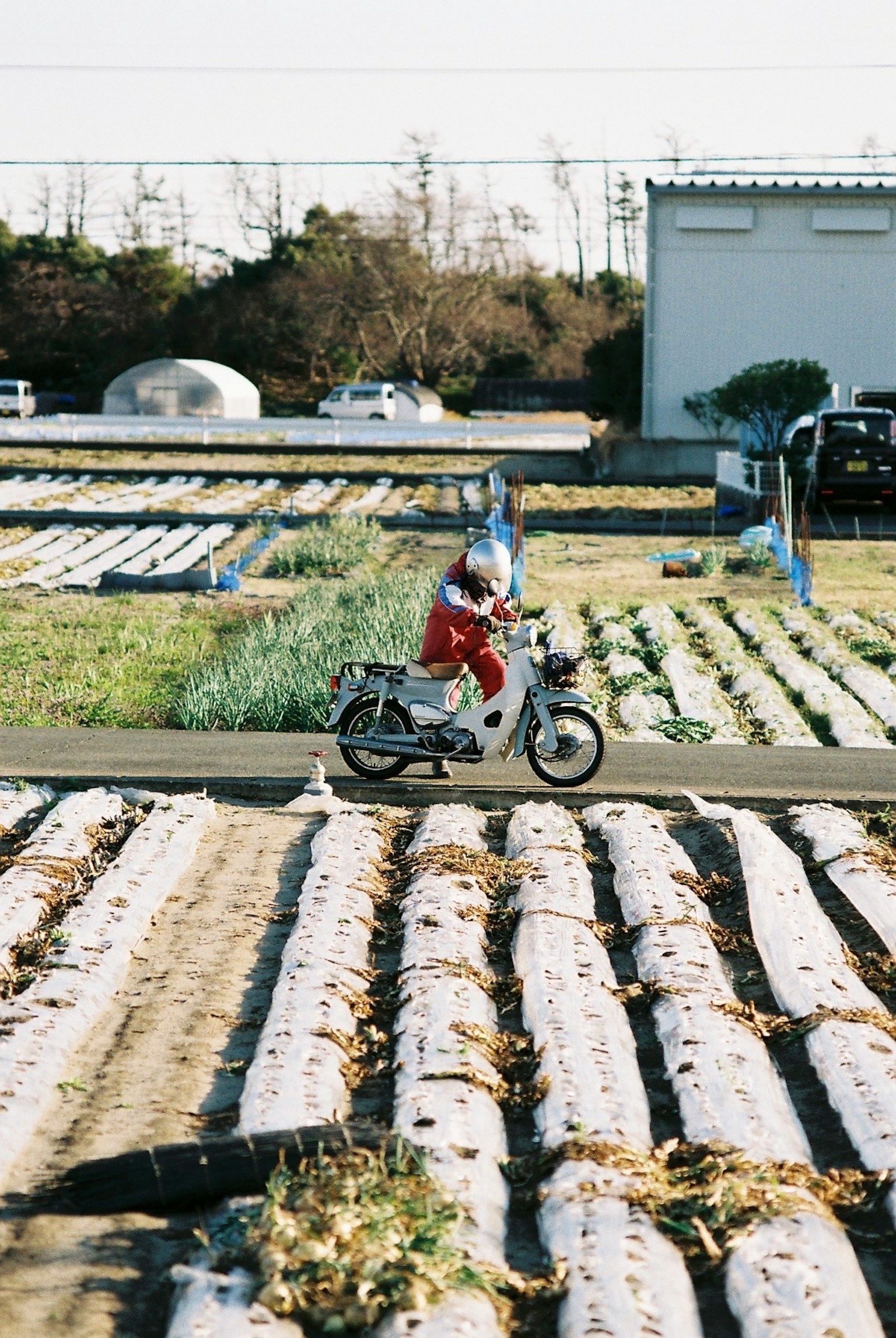 Person, die mit einem Motorrad durch ein Feld fährt