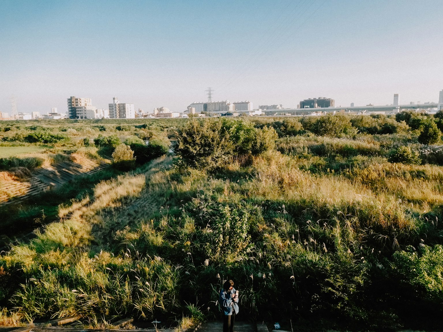 Paysage verdoyant sous un ciel dégagé avec une ligne d'horizon urbaine au loin
