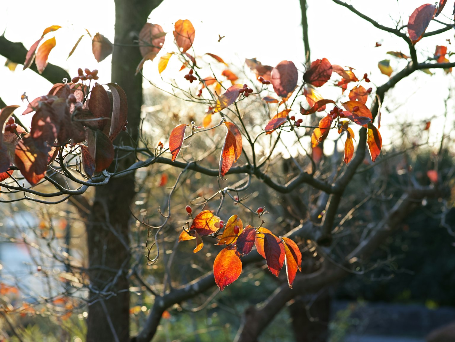 photo-rkbssCm0YeH56XH09ACd-image