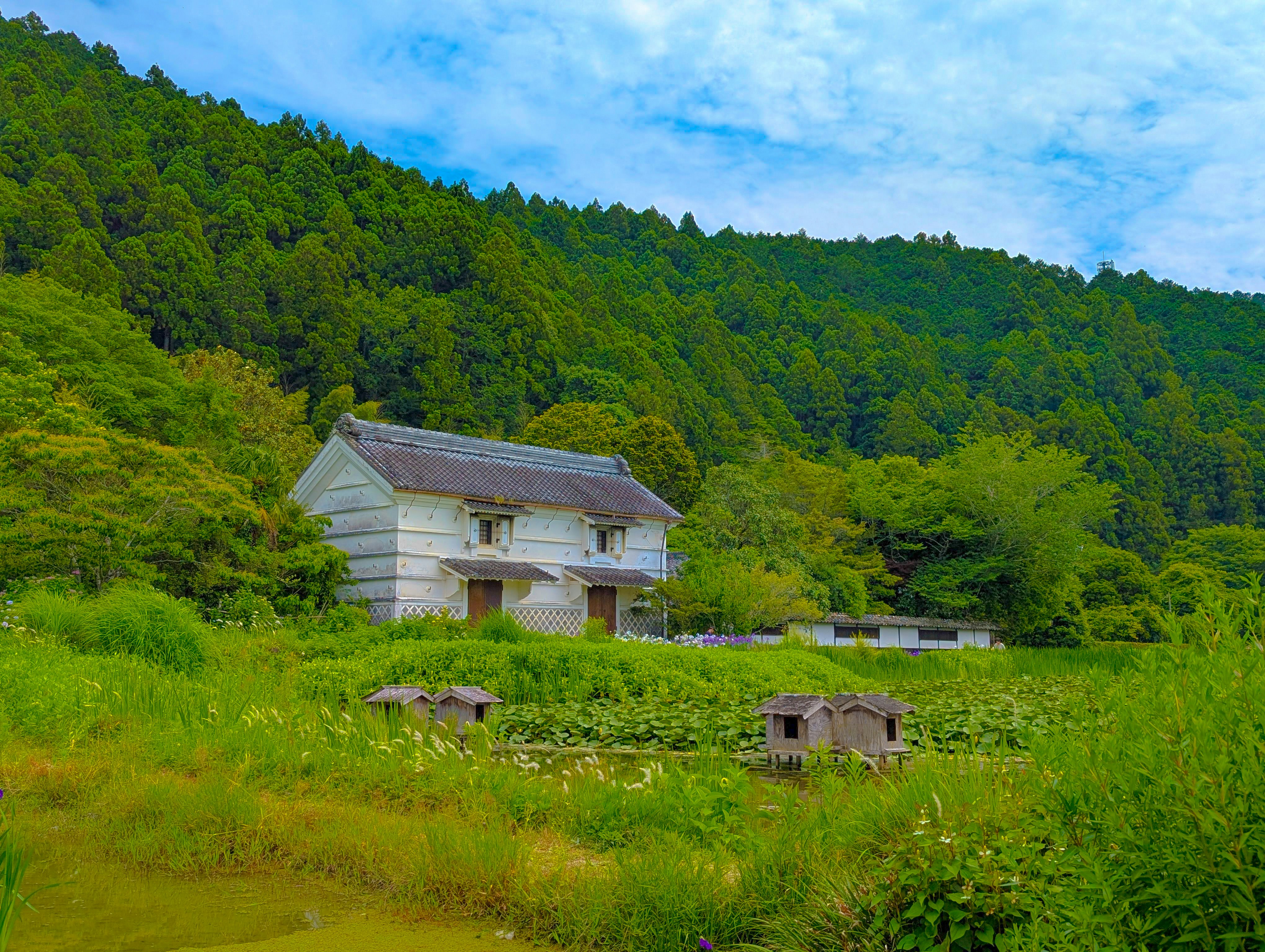 緑の草地の中に佇む自然の建物