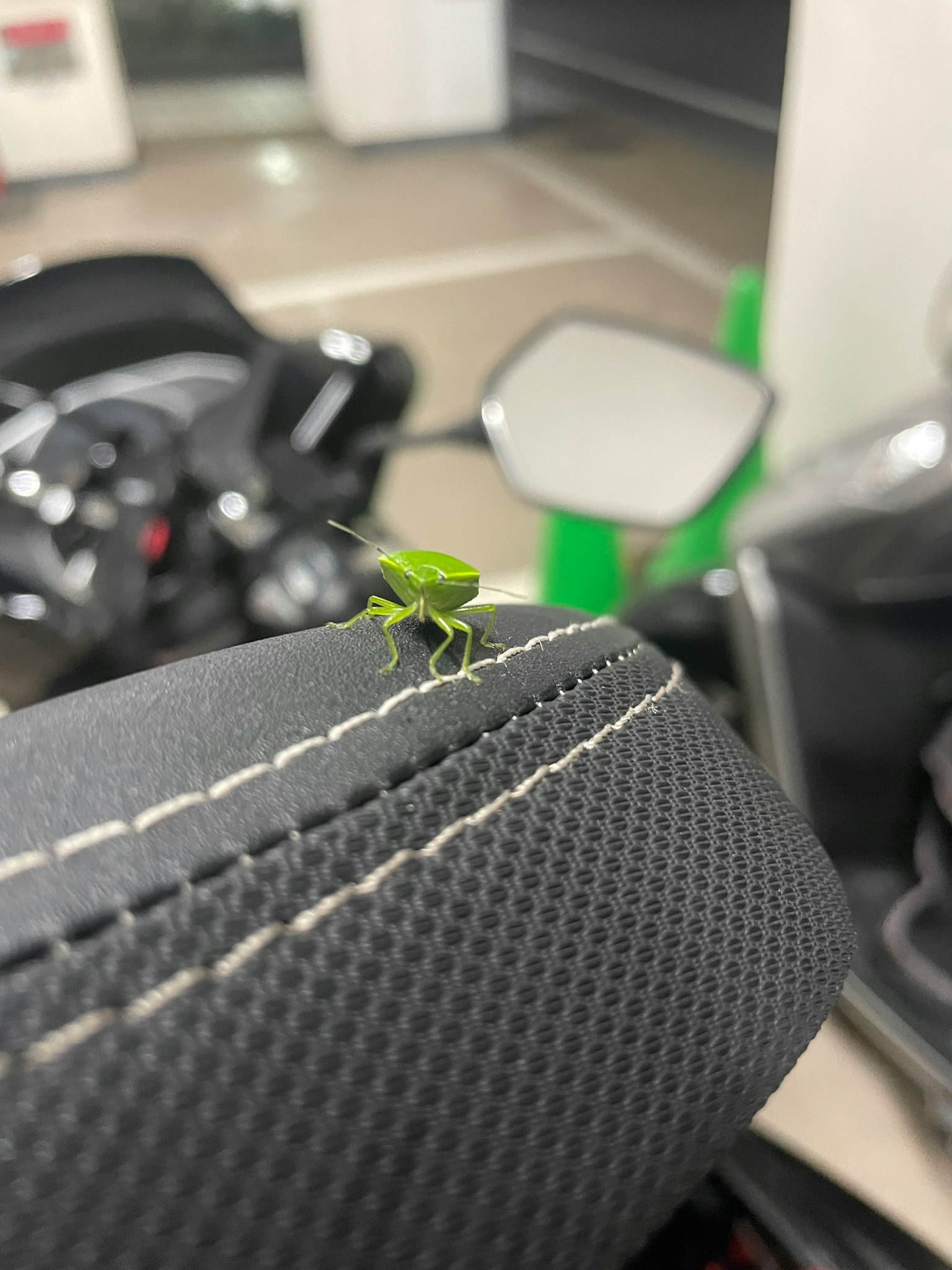 Une sauterelle verte perchée sur un siège de moto
