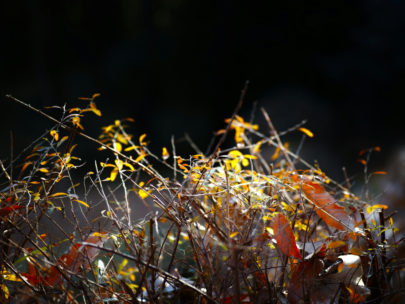 photo-rkqwkdULLS2Z5W3TFAr4-image
