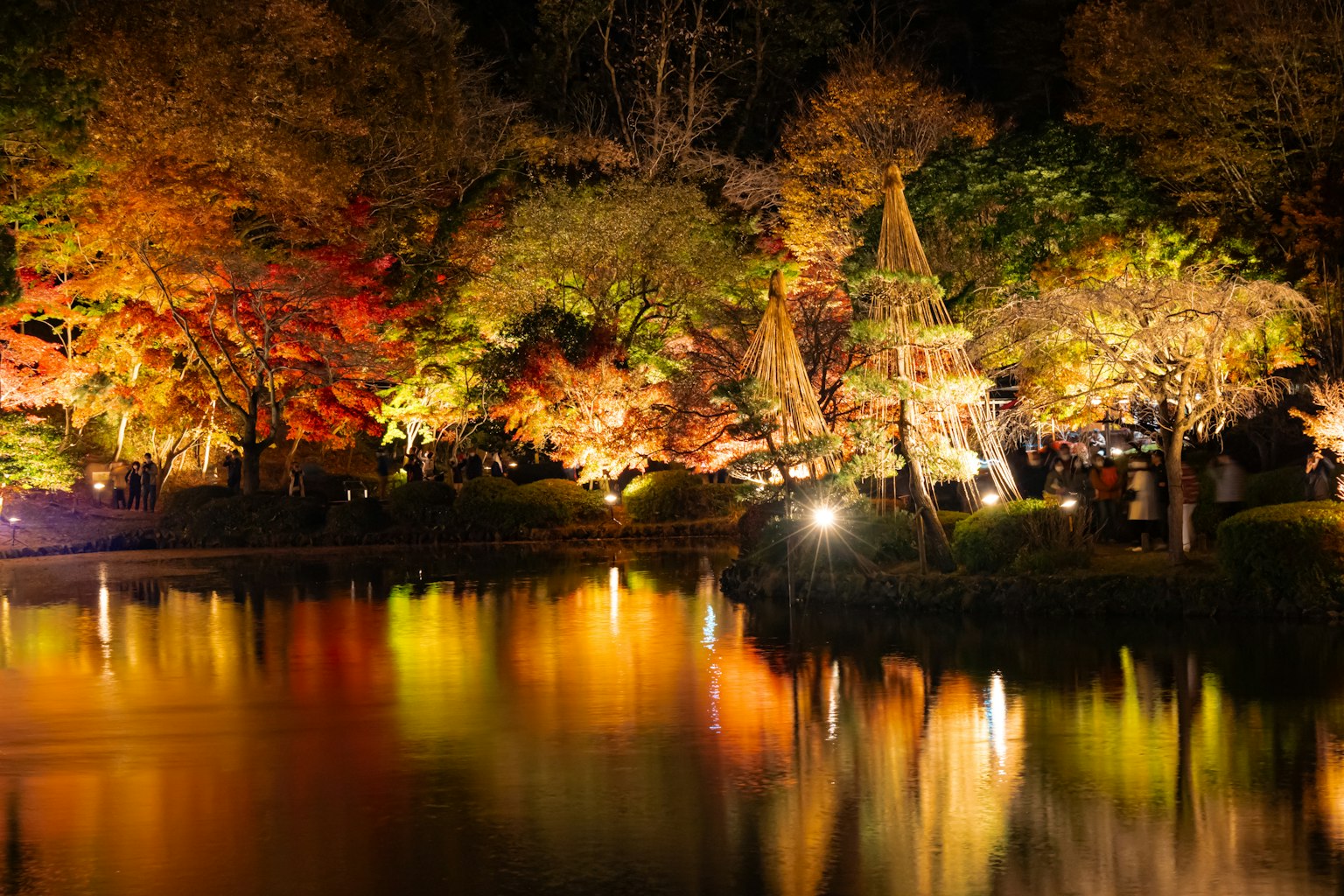 夜晚秋葉在池塘中倒影與燈光