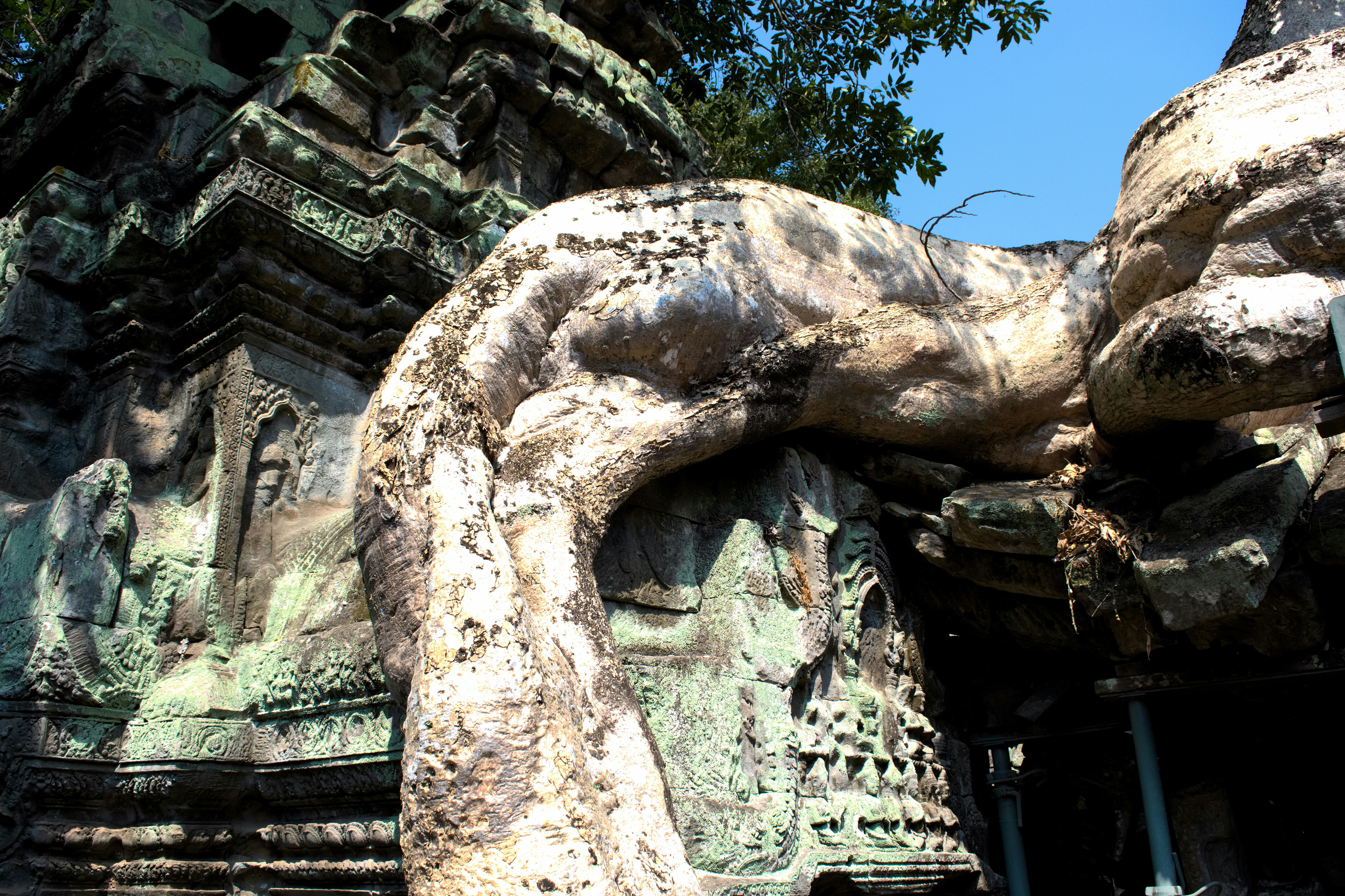 naga pahat batu di gerbang kuil kuno