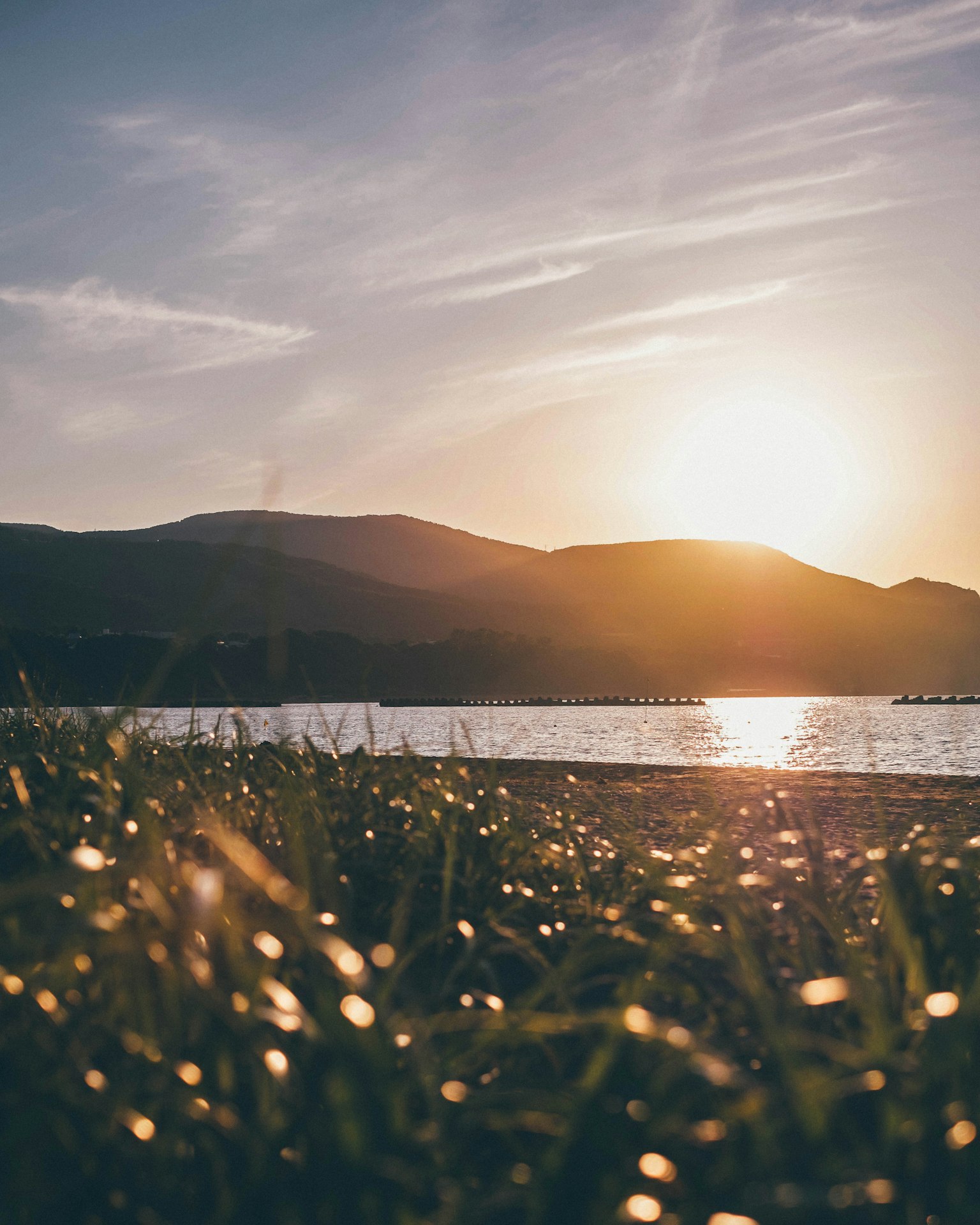 Paesaggio di erba vicino a un lago con un tramonto